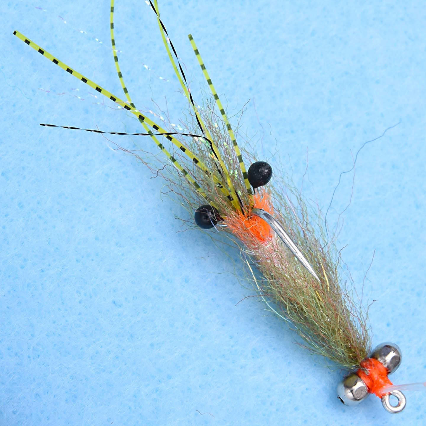 EP Spawning Shrimp Olive BC