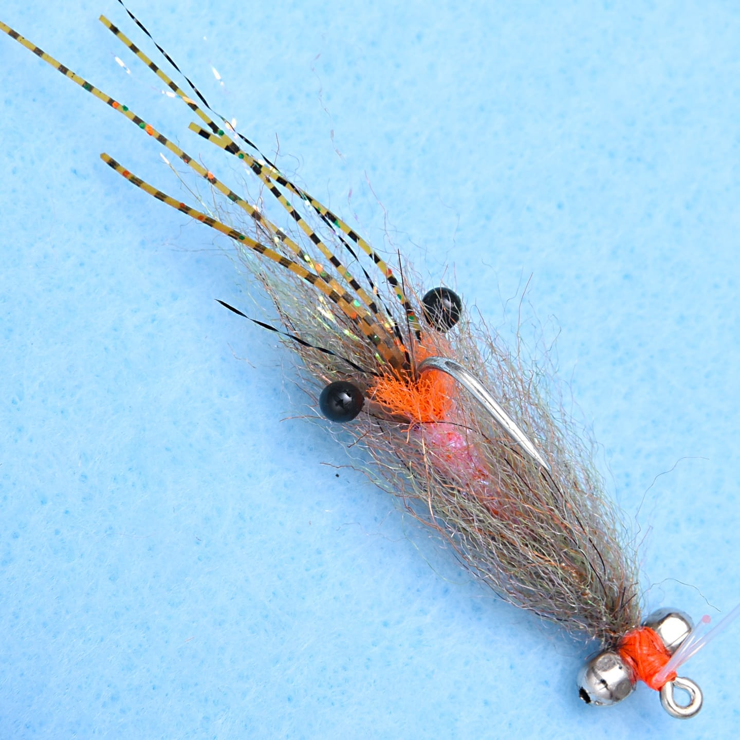 EP Spawning Shrimp Rootbeer BC