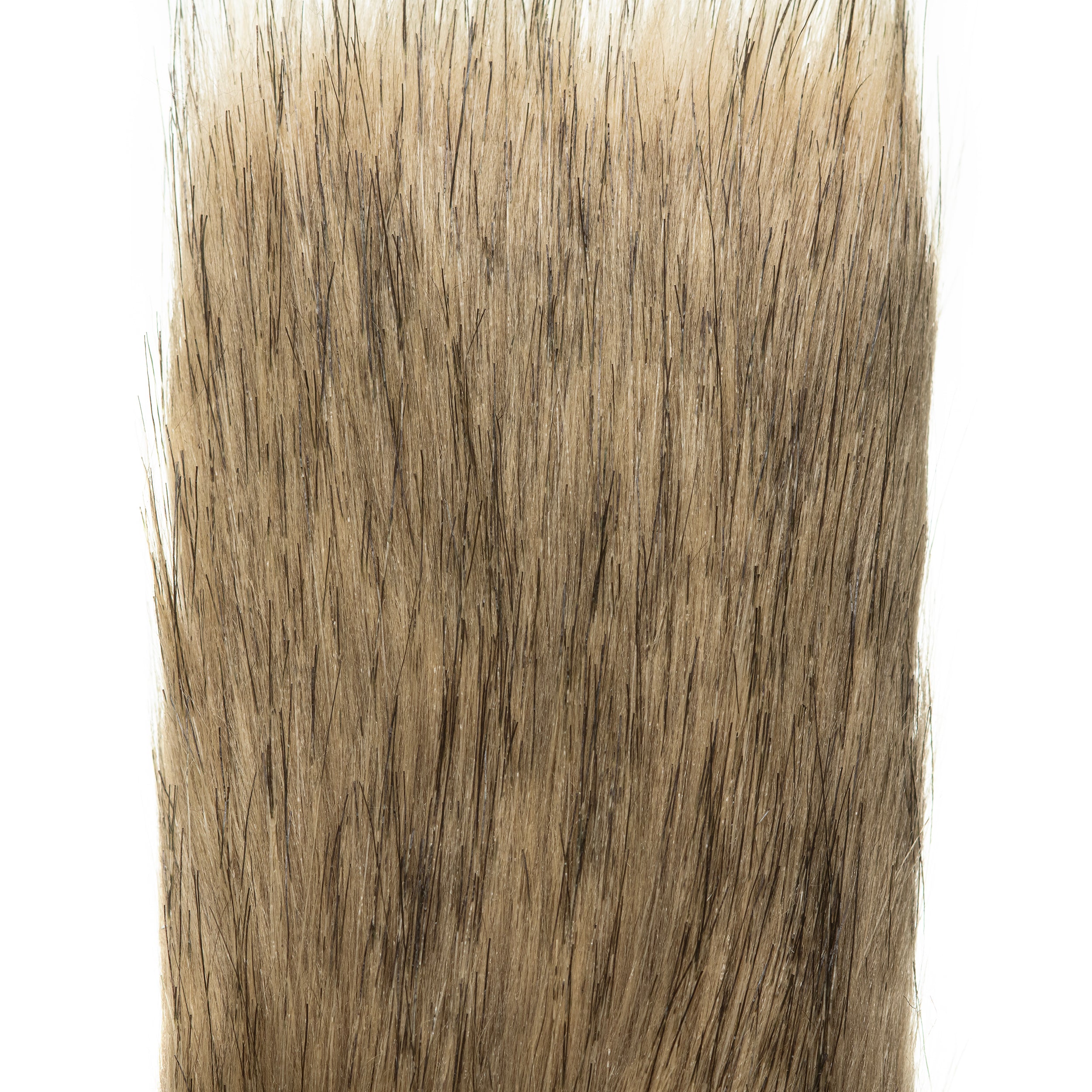 Animal Craft Fur