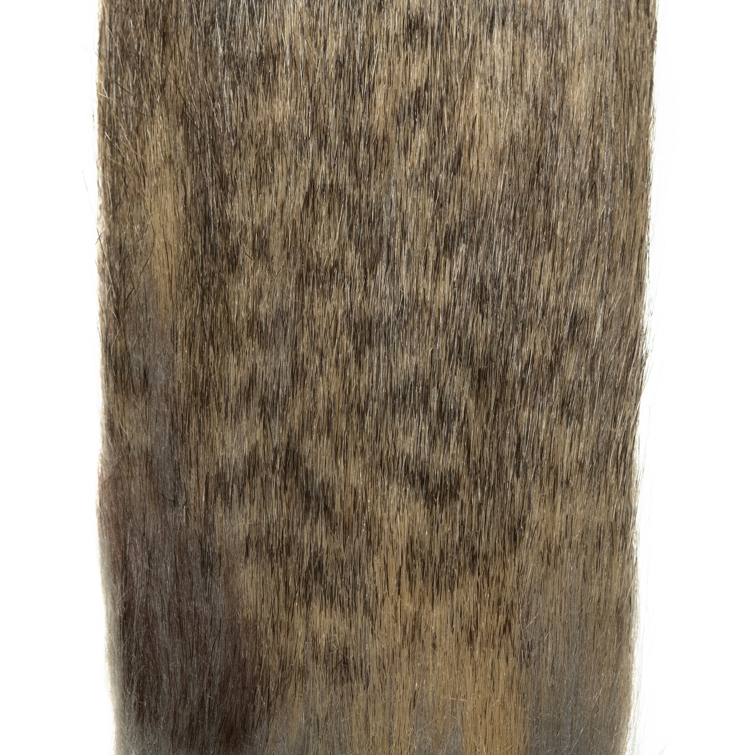 Animal Craft Fur