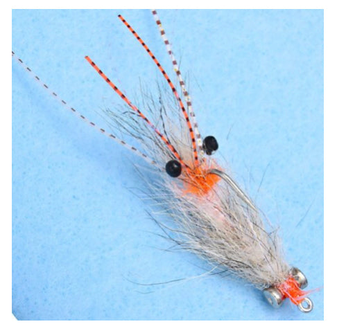 EP Spawning Shrimp