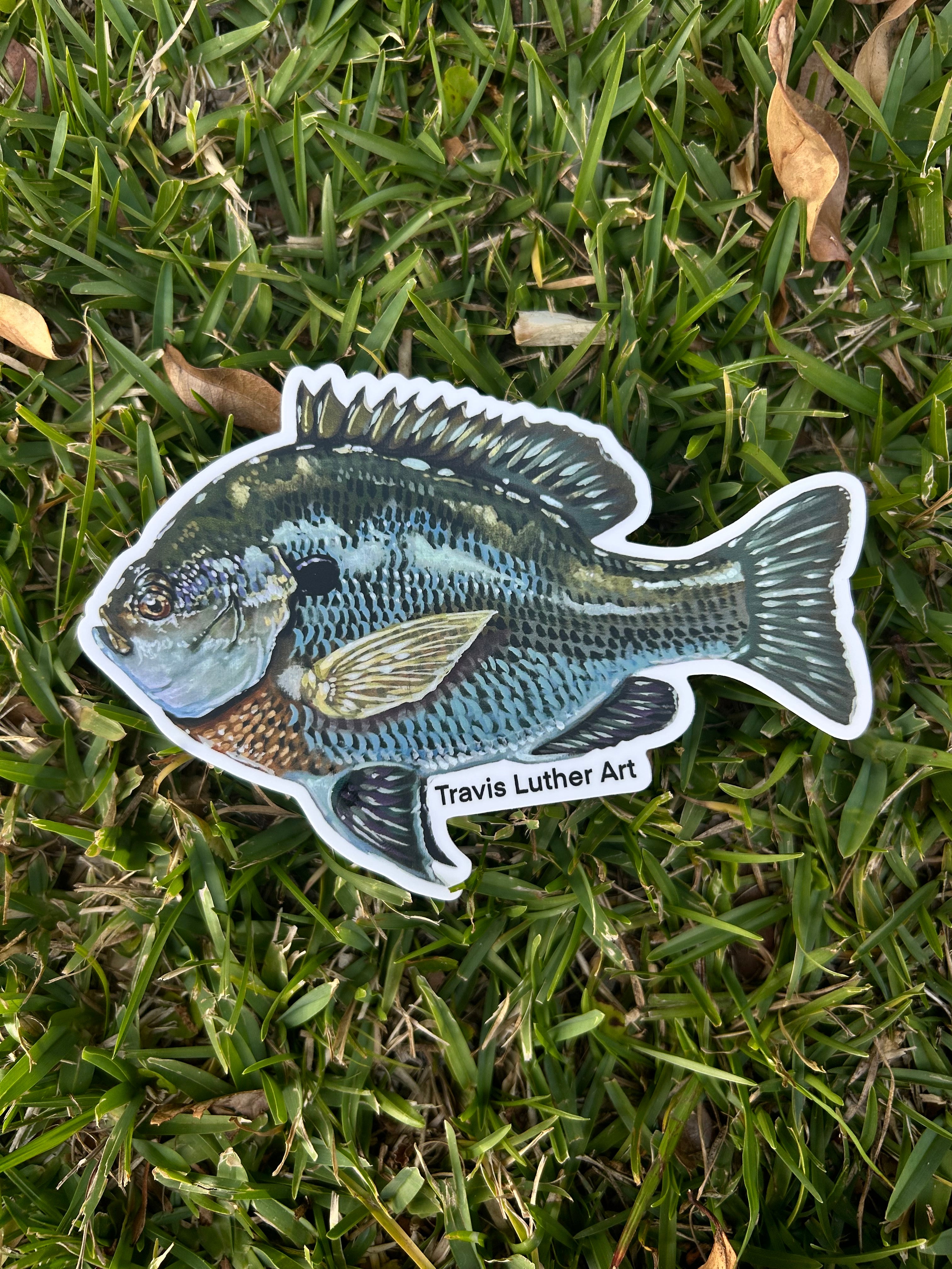 Travis Luther Art Bluegill sticker