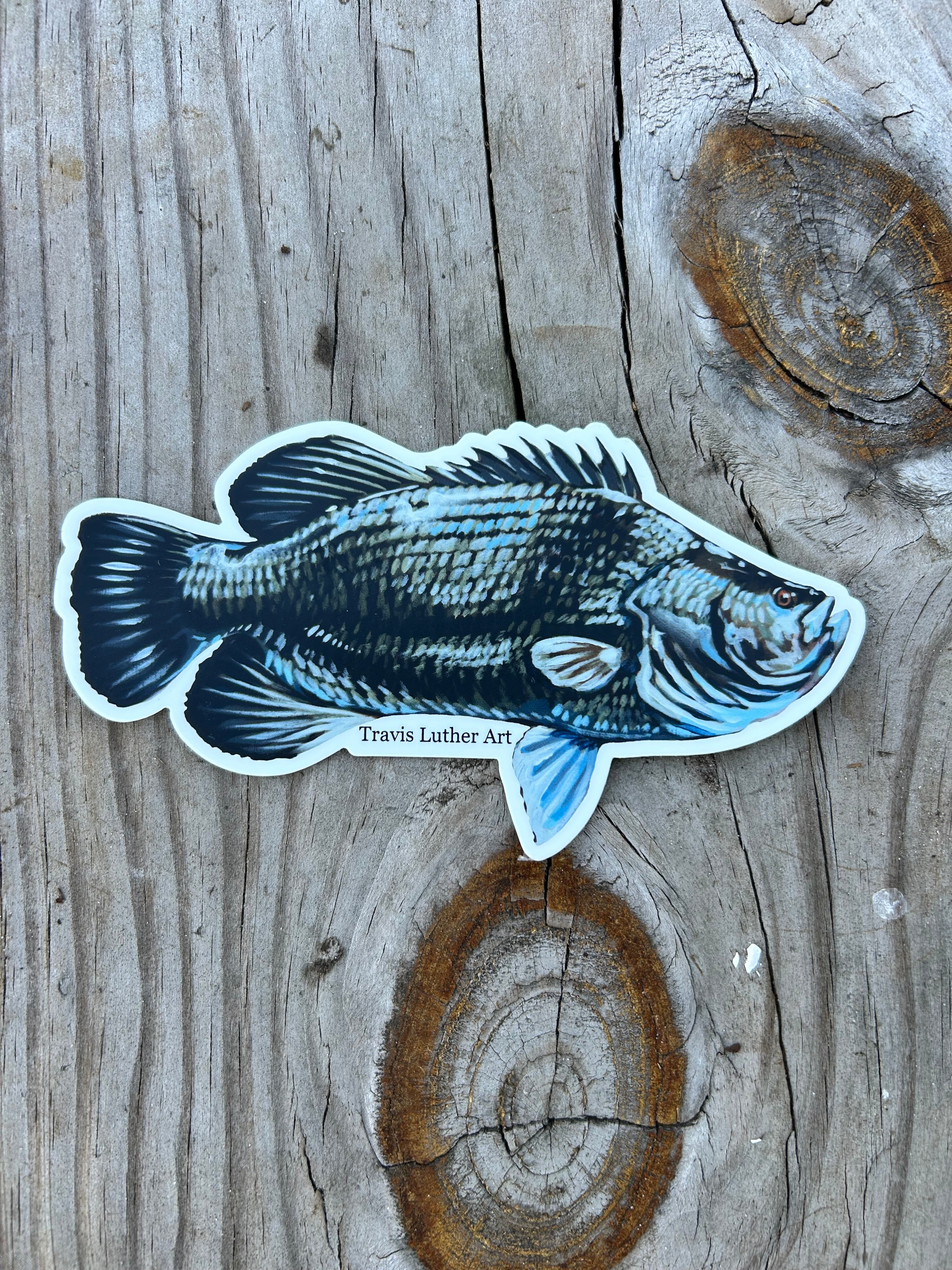 Travis Luther Art Triple Tail Sticker