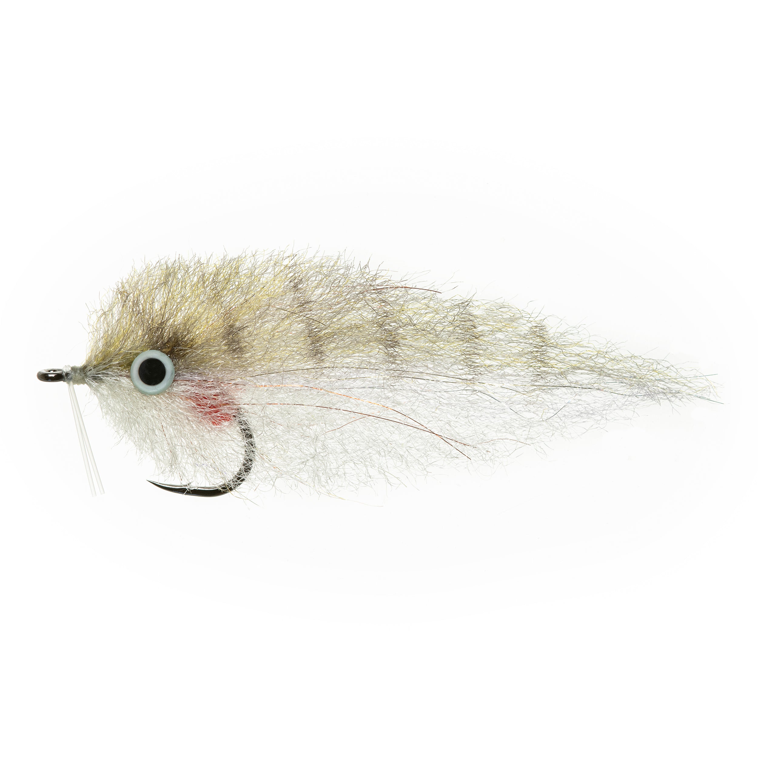 EP Pinfish