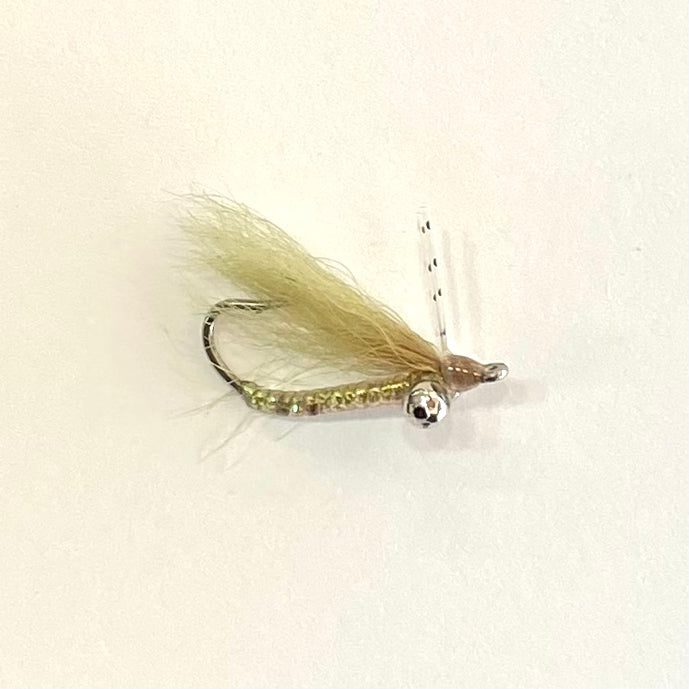 Olive Crazy Charlie