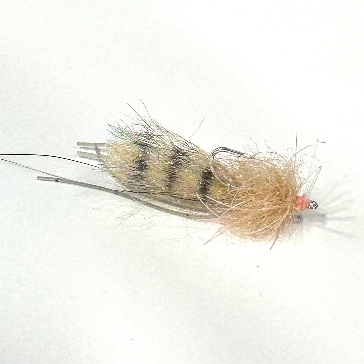 Dime Bag Davey’s Subby Shrimp