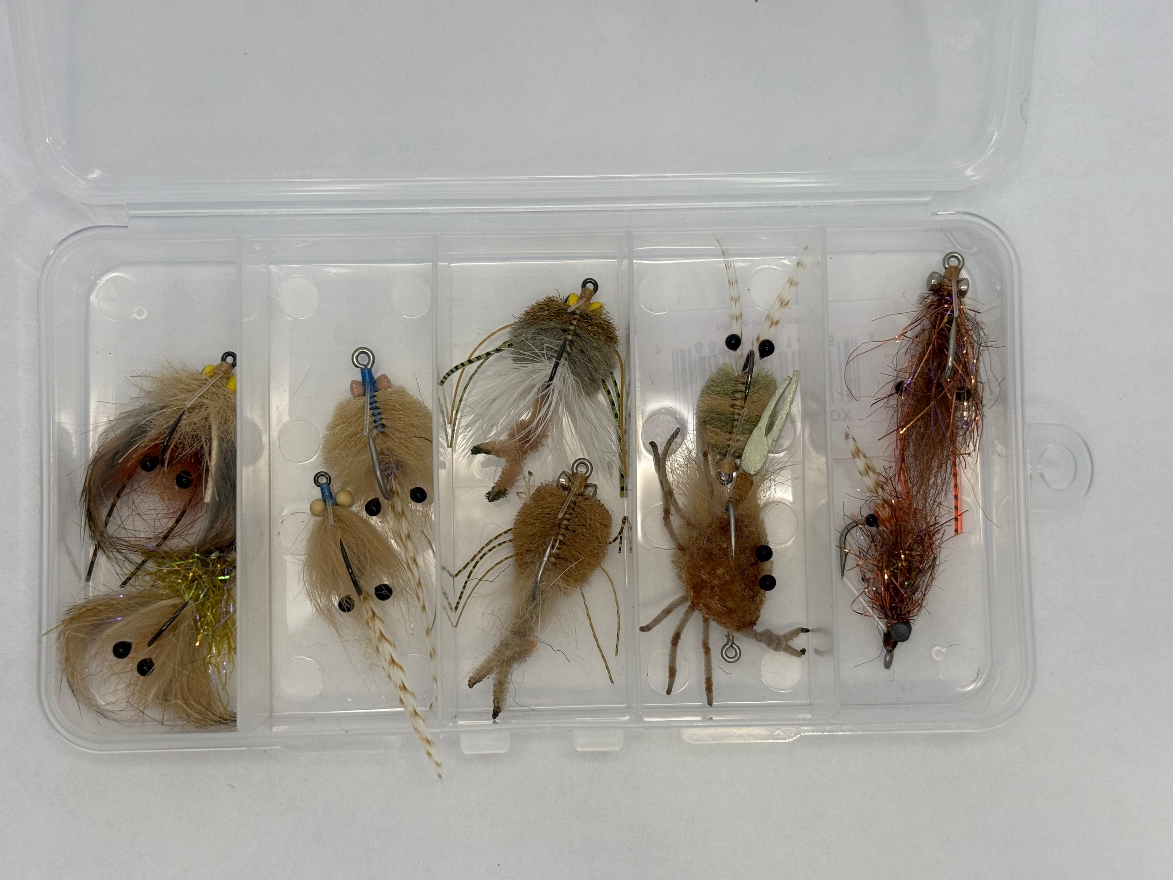 Sample Fly box