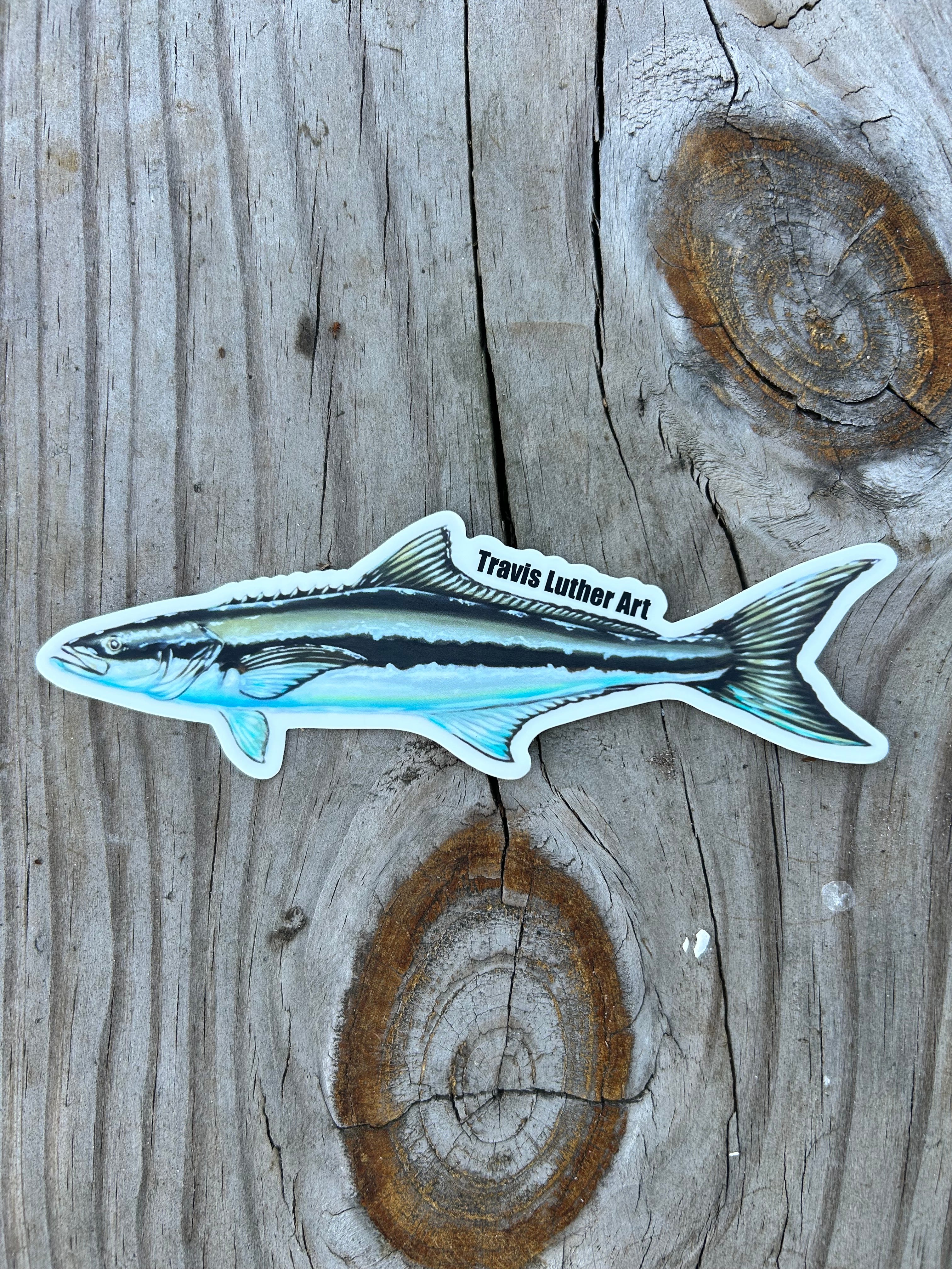 Travis Luther Art Cobia Sticker