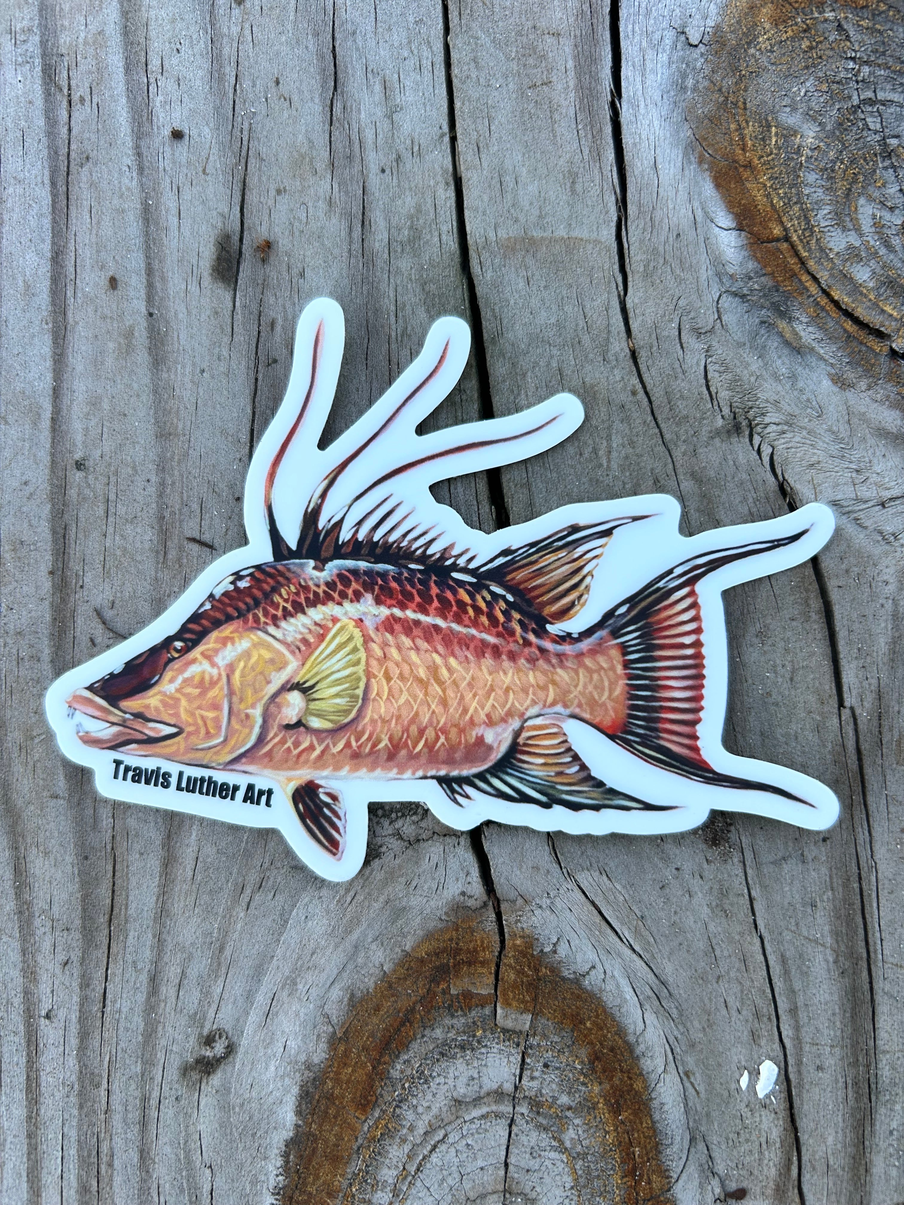 Travis Luther Art Hogfish Sticker