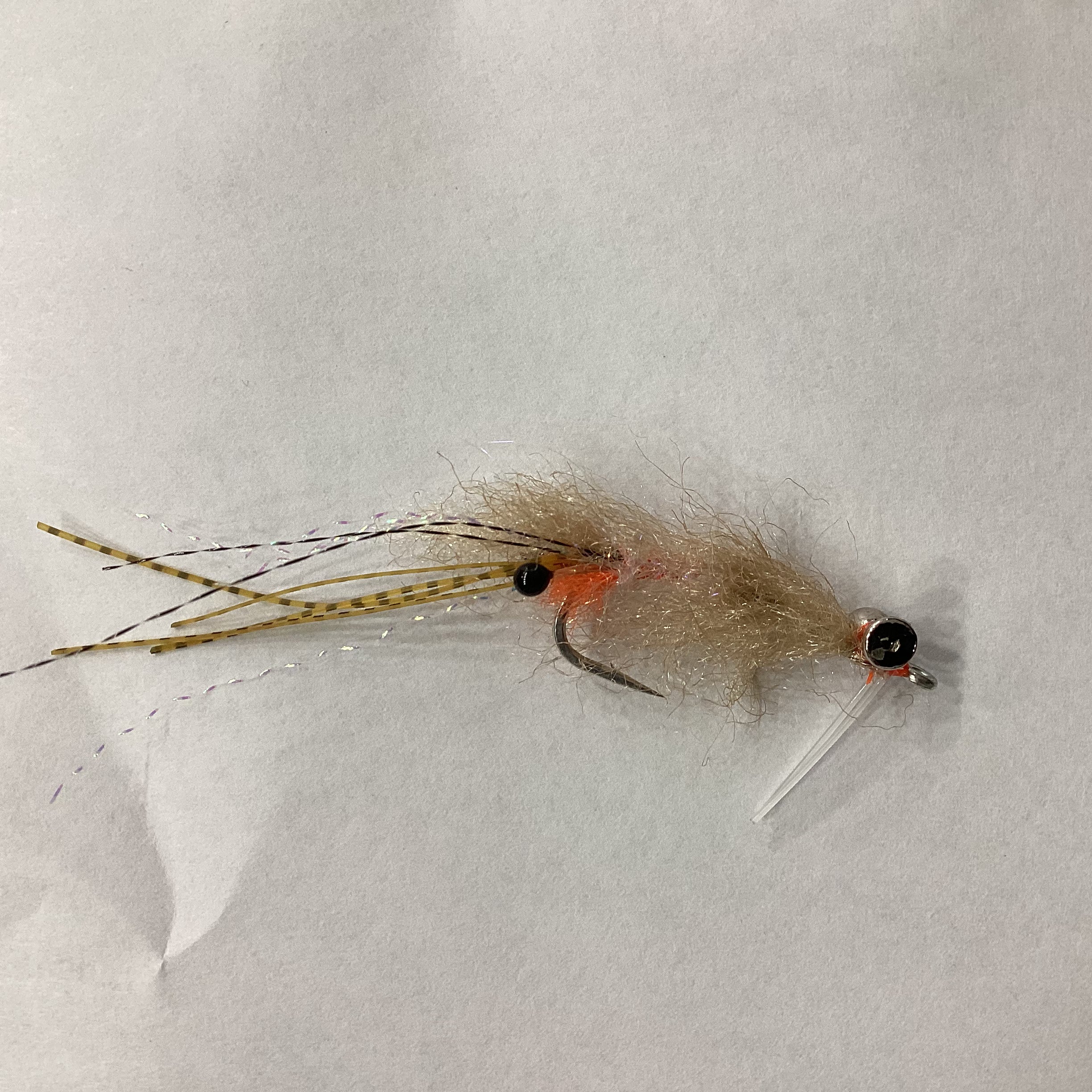 EP Spawning Shrimp - lead eye