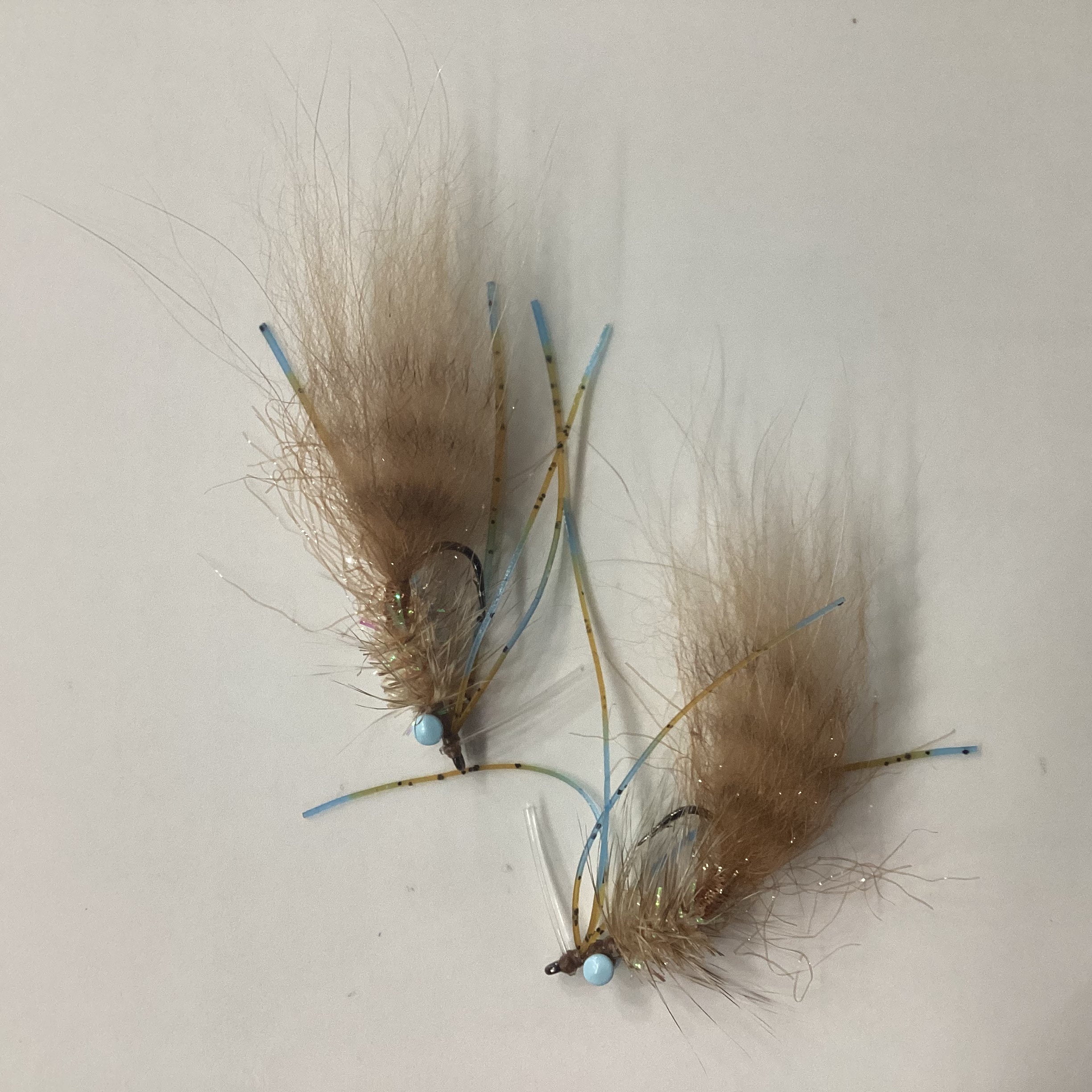 Tony Janik - Krystal Shrimp - tan
