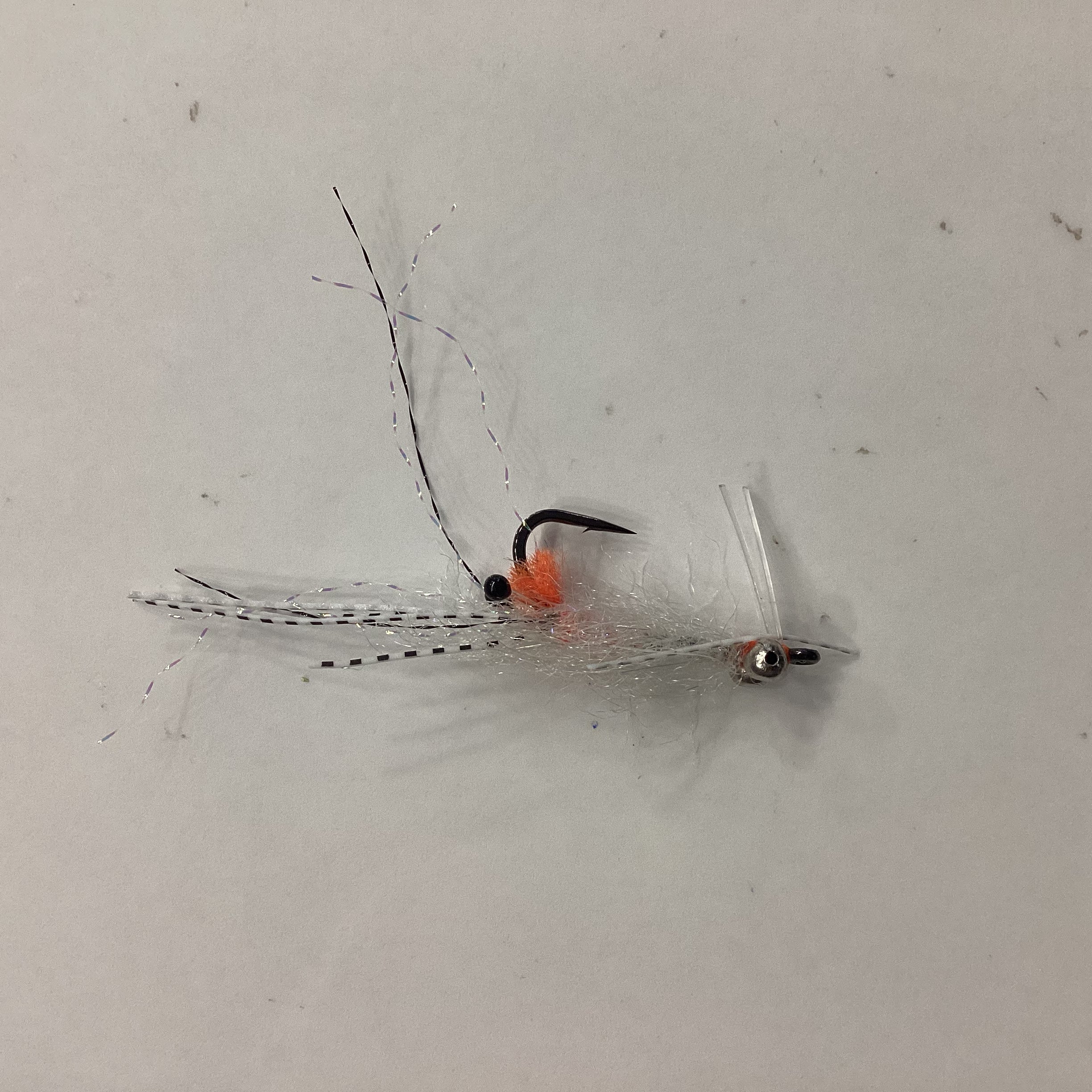 EP Spawning Shrimp - #4 - transparent