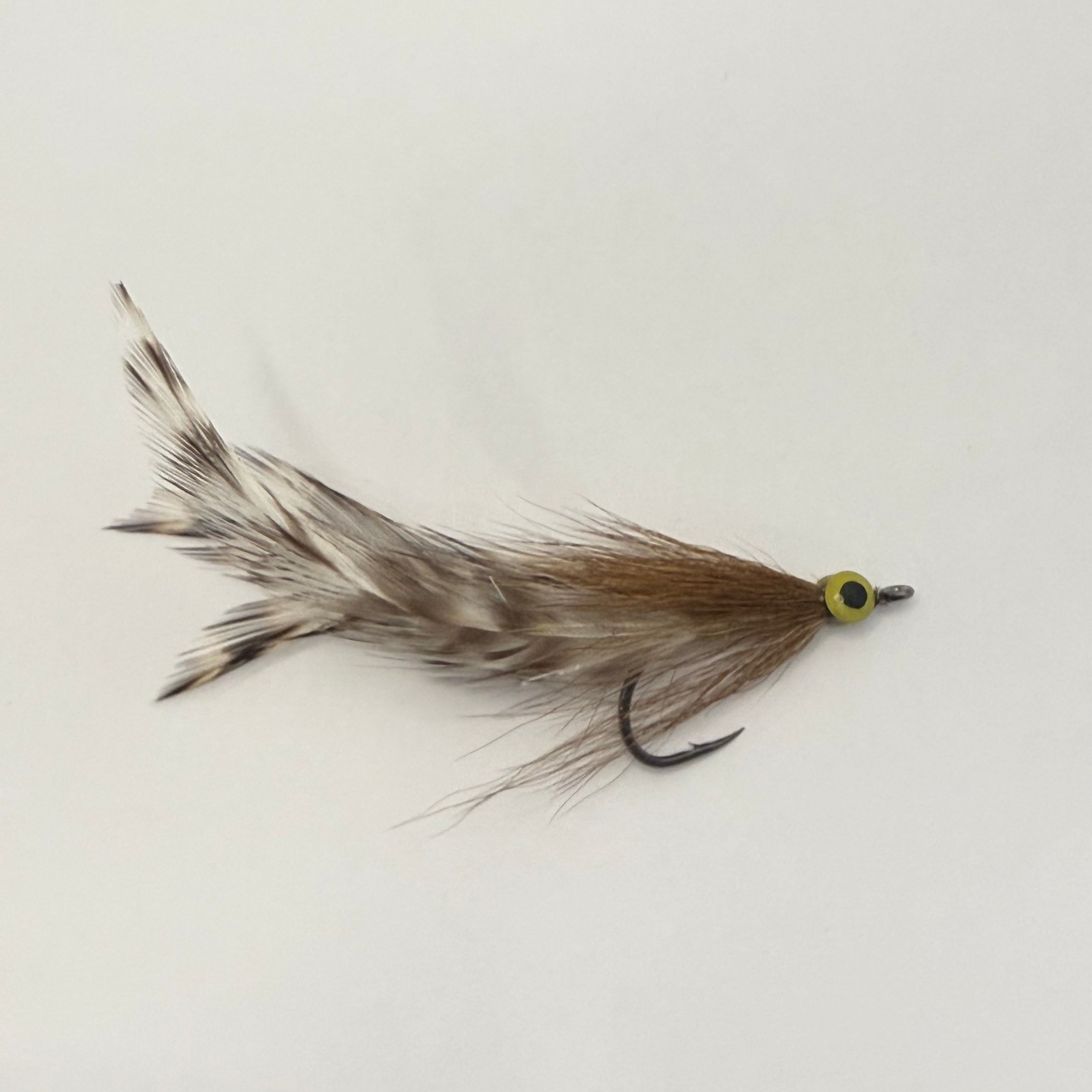Tarpon Snake - Guy