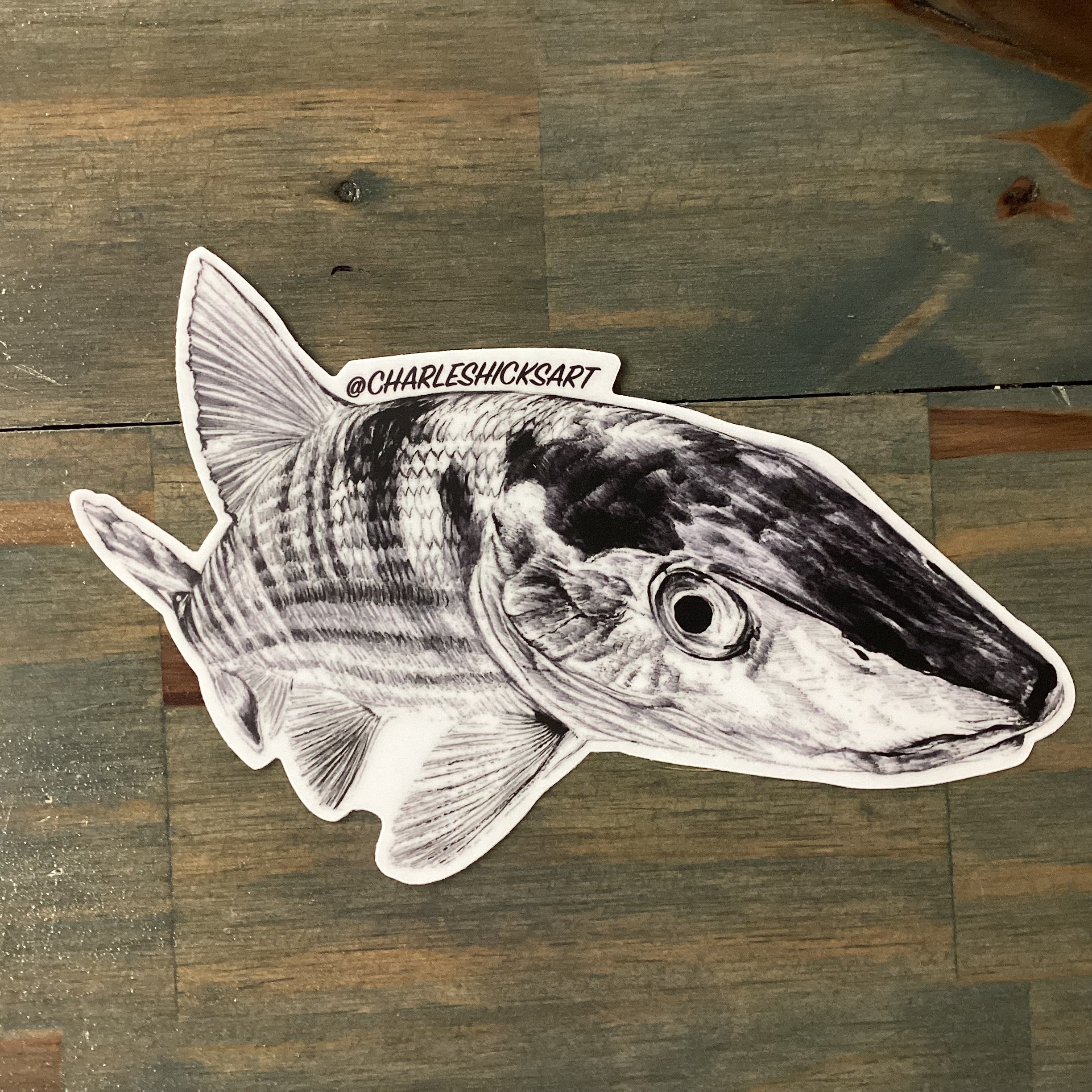 Charles Hicks Art - Bonefish Right
