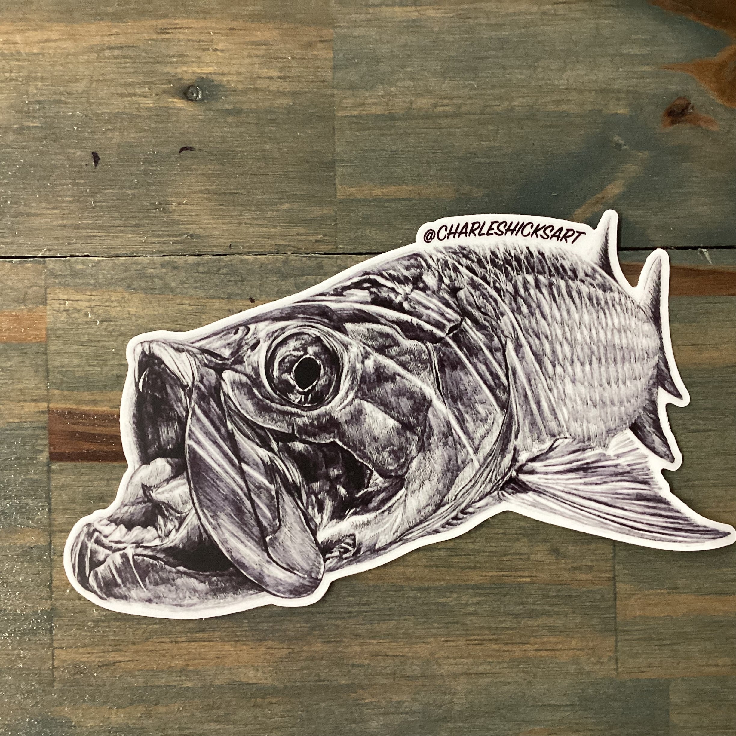 Charles Hicks Art - Tarpon Head