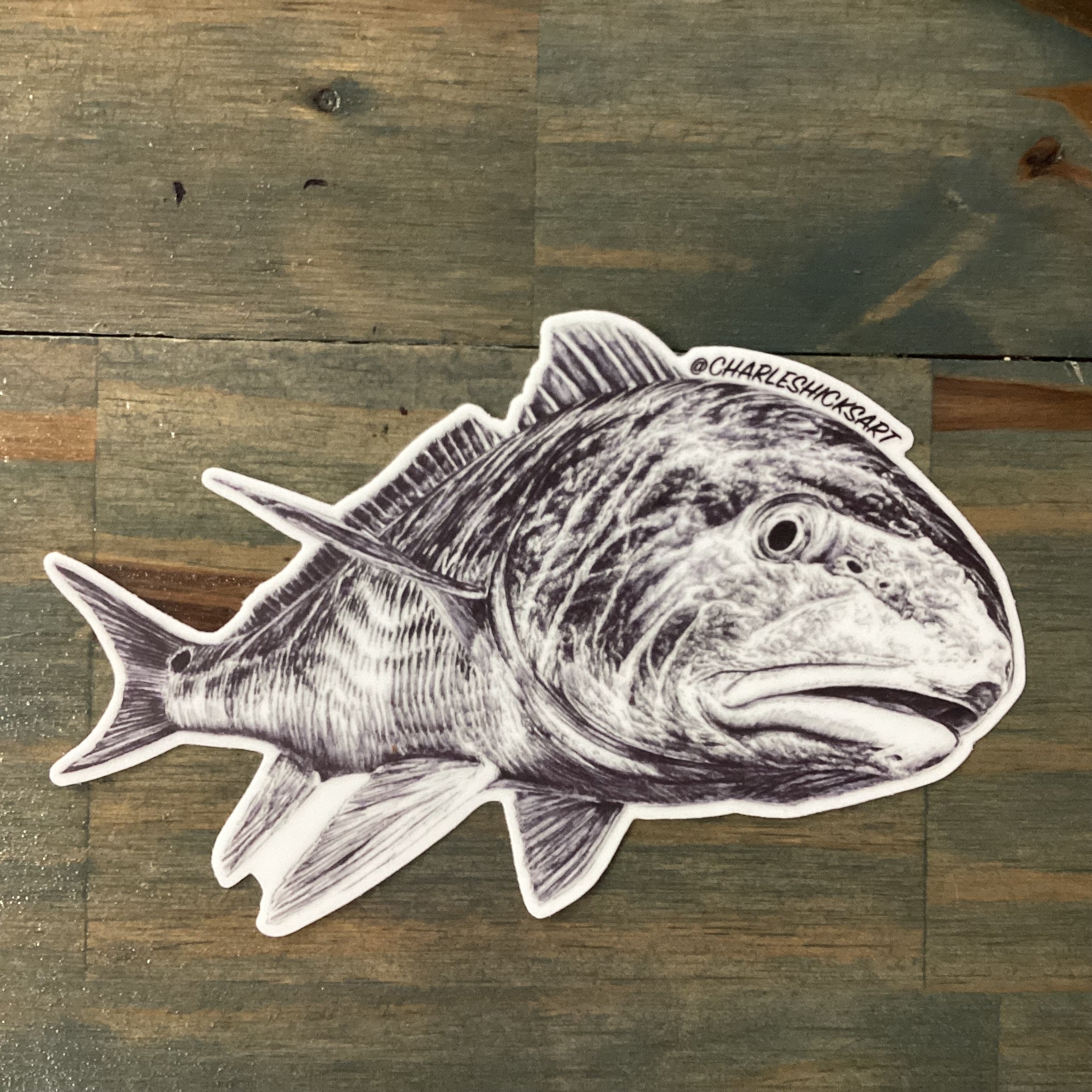 Charles Hicks Art - Redfish
