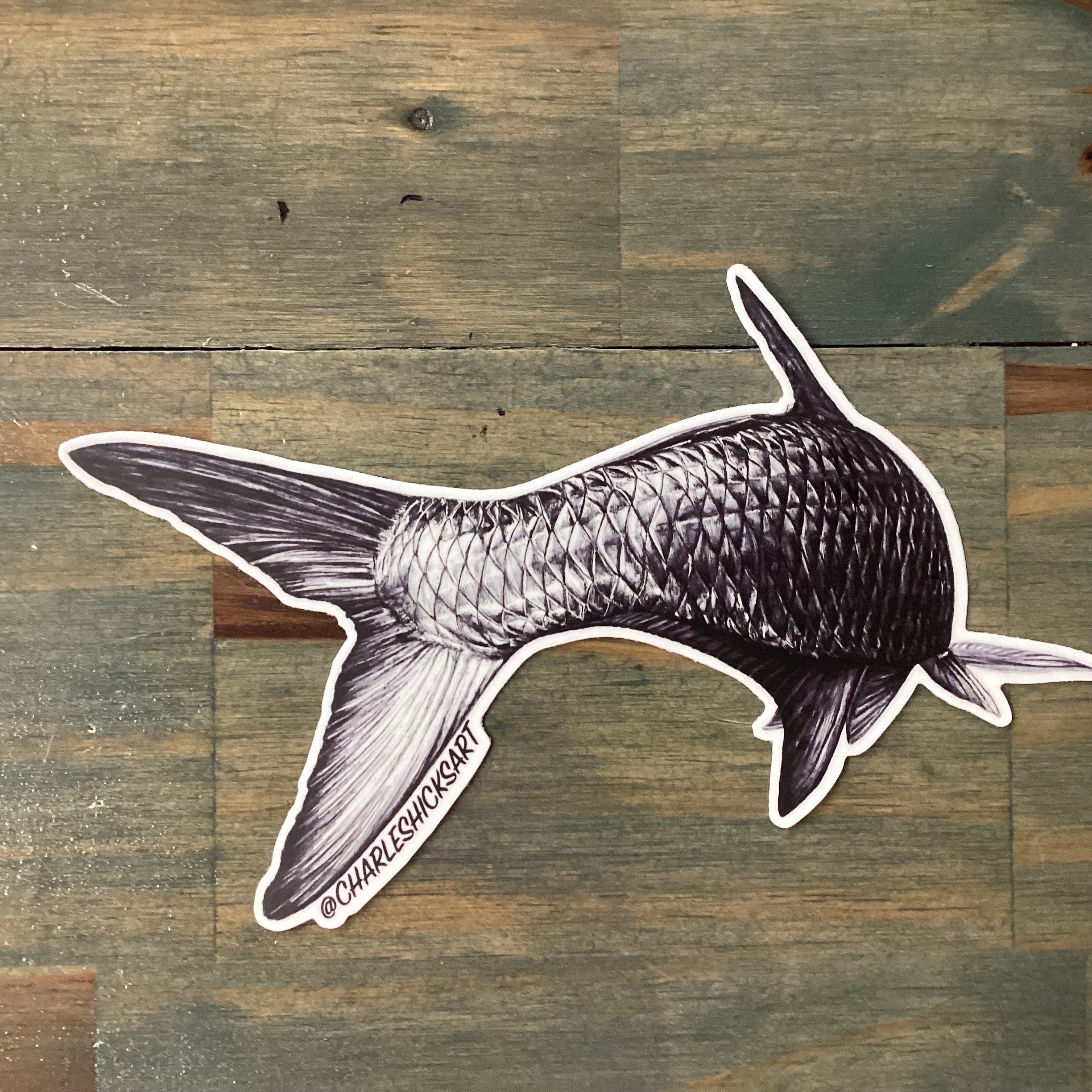 Charles Hicks Art - Tarpon Tail