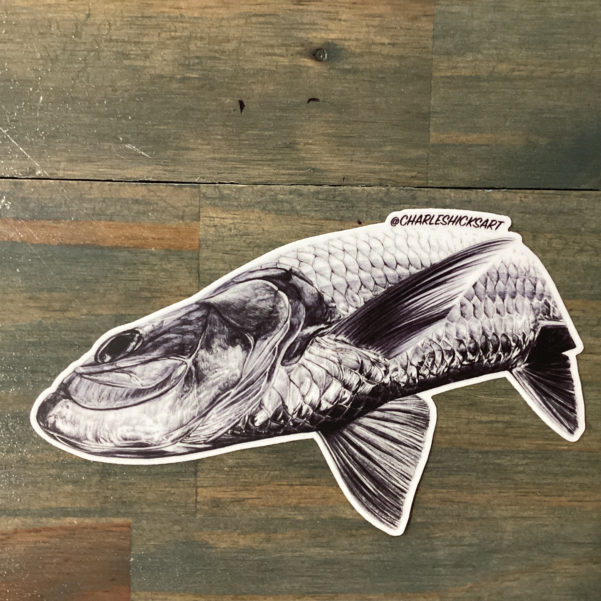 Charles Hicks Art - Tarpon Under View