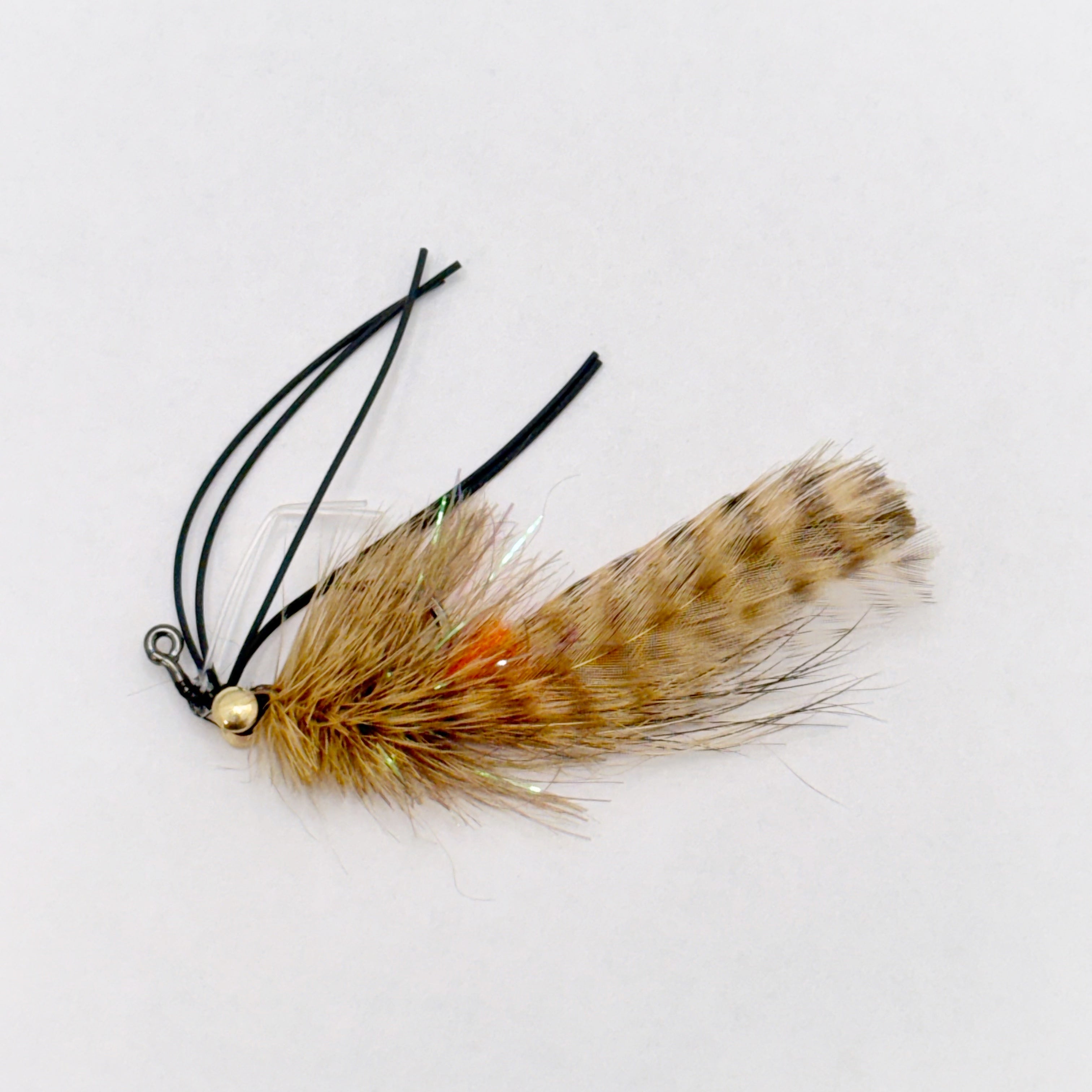 Dirty Bird Crab Janik
