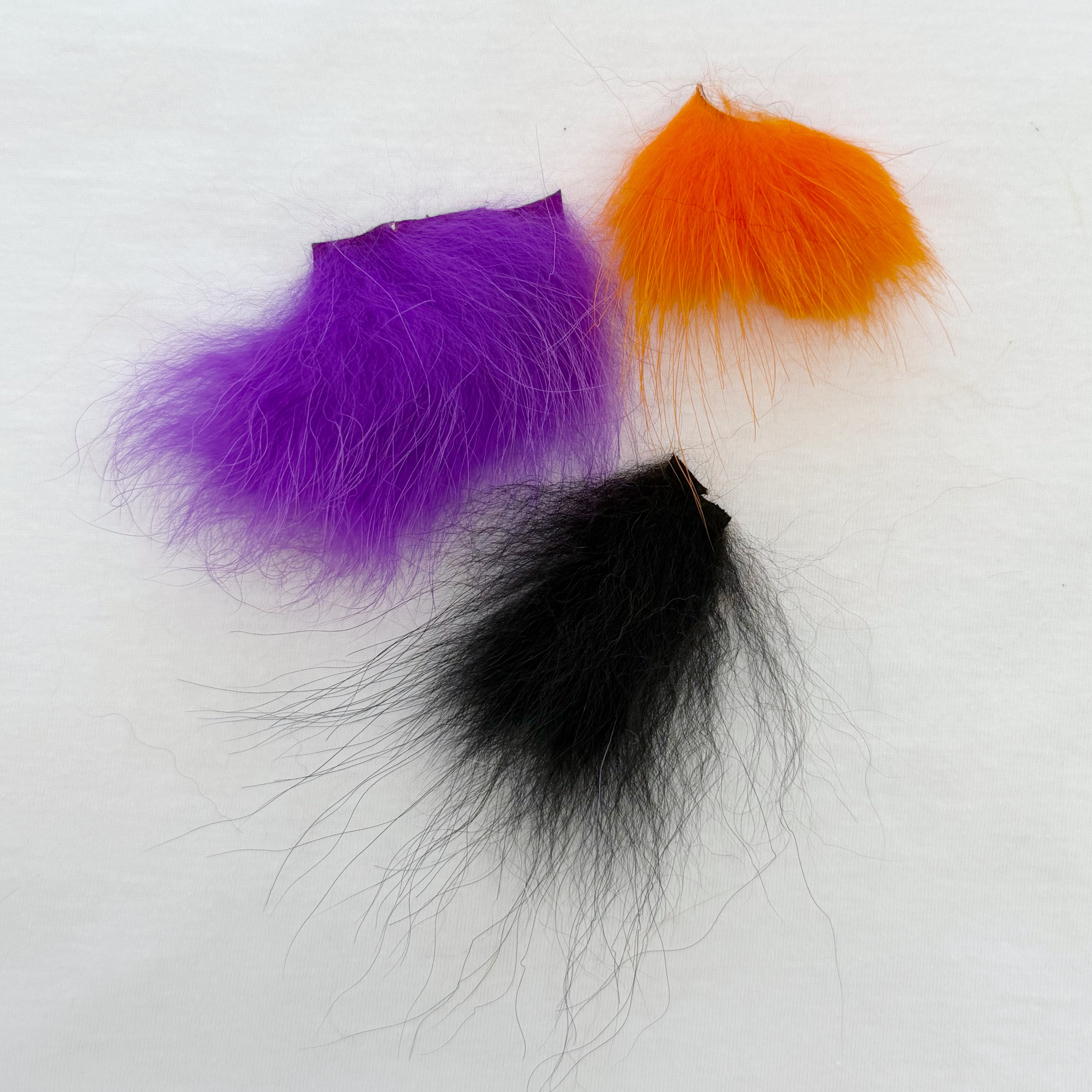 DR Finn Raccoon - Shorty COMBO Pack