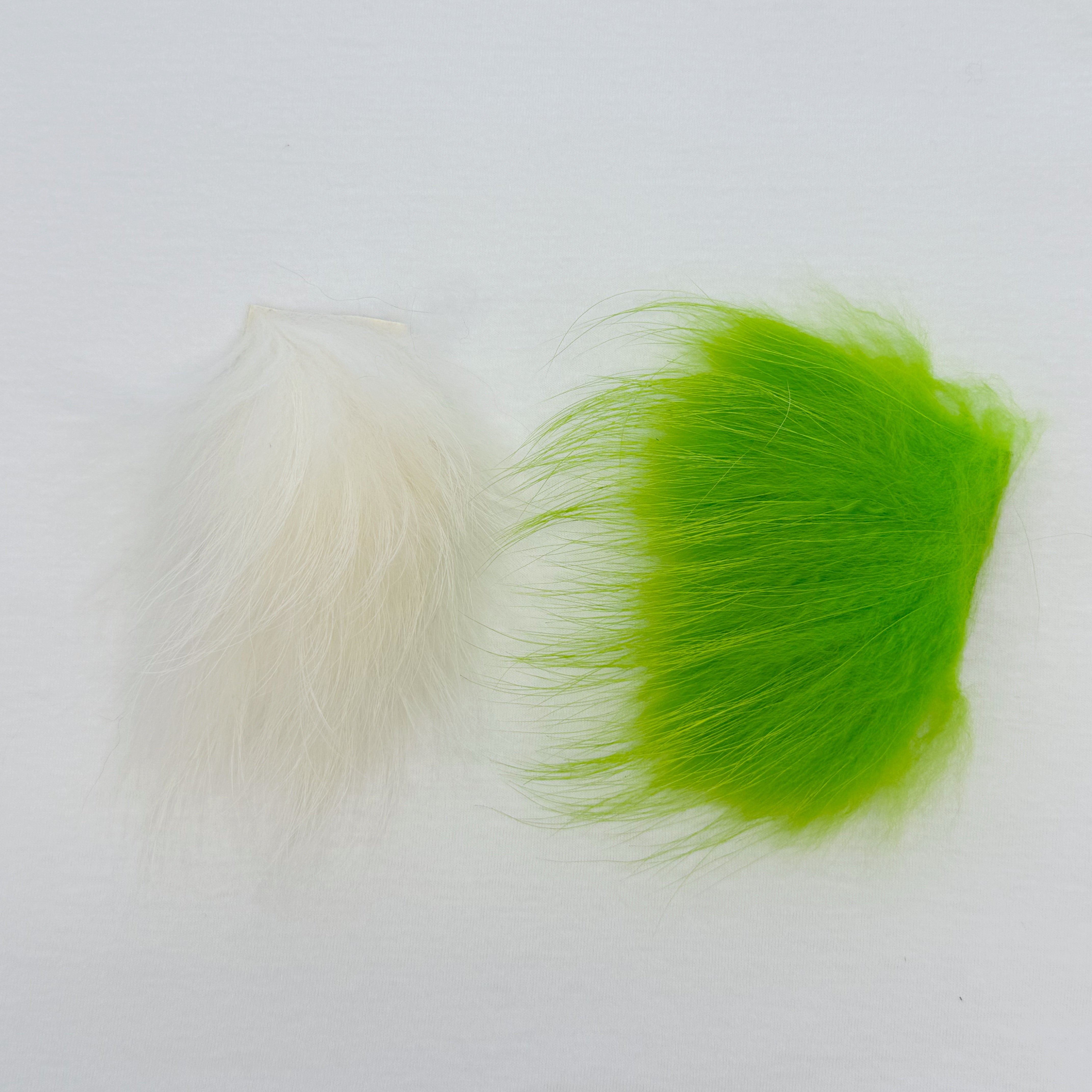 DR Finn Raccoon - Guide COMBO Pack