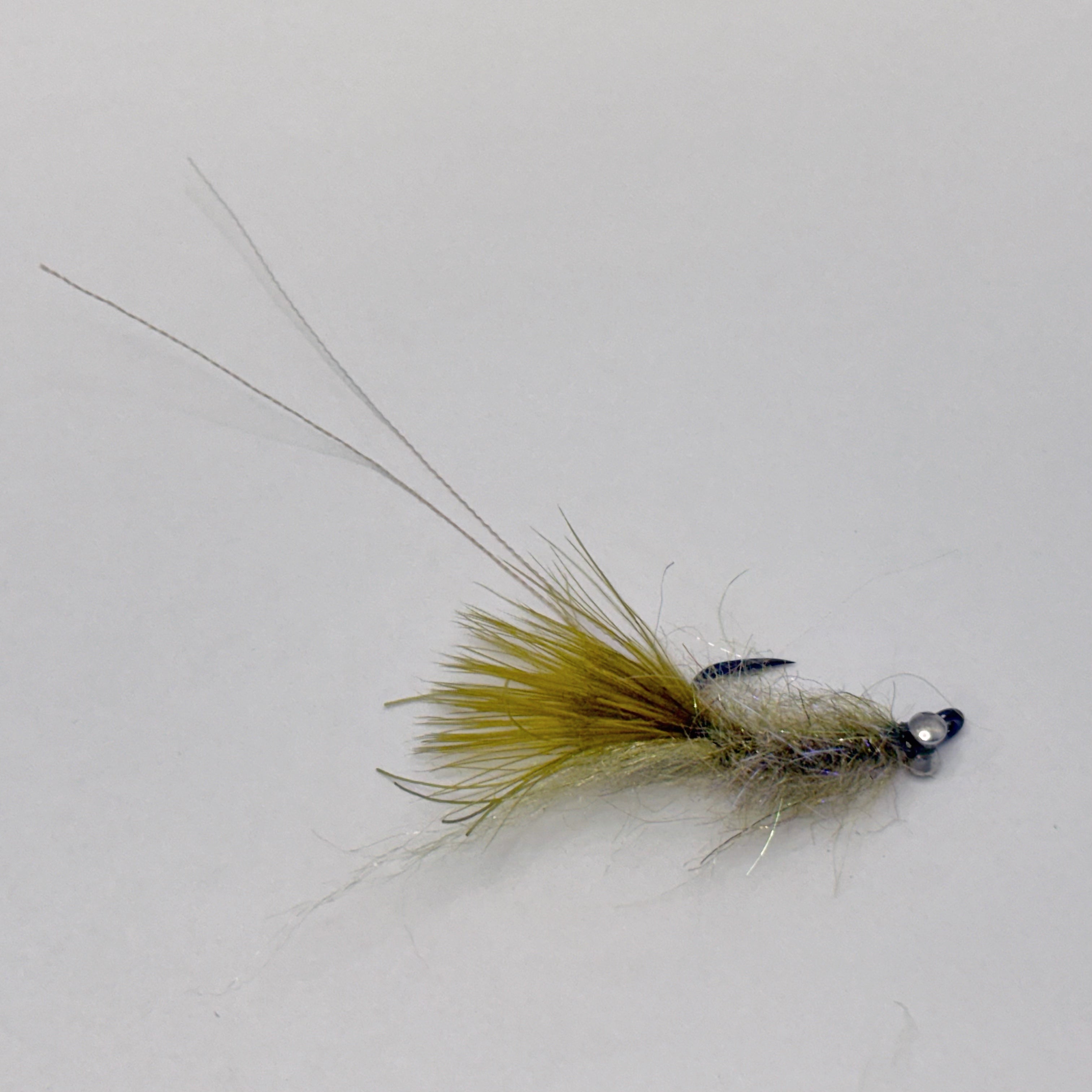 Dime Bag Davey's Damsel Shrimp