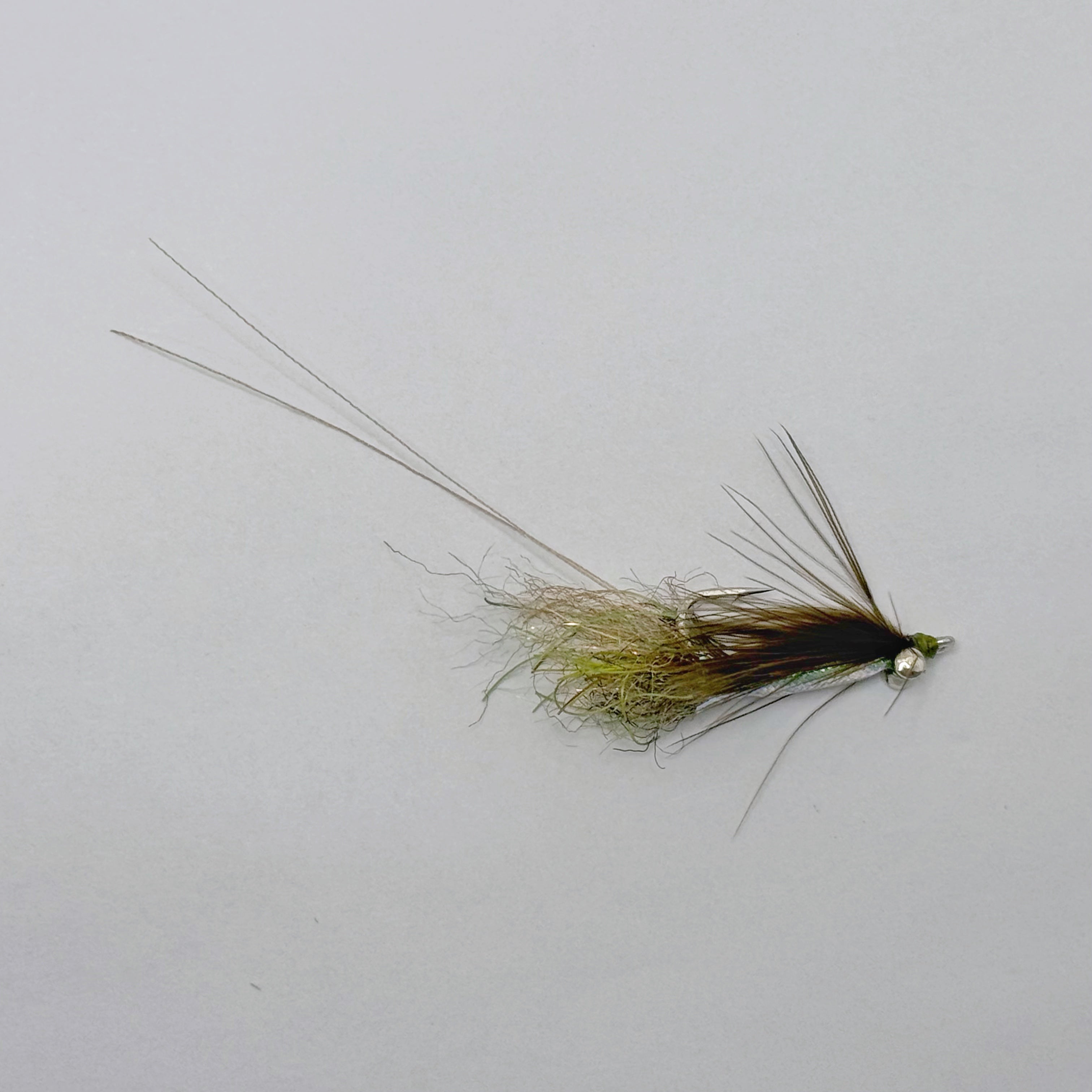 Dime Bag Davey's E-Z body Shrimp- Olive