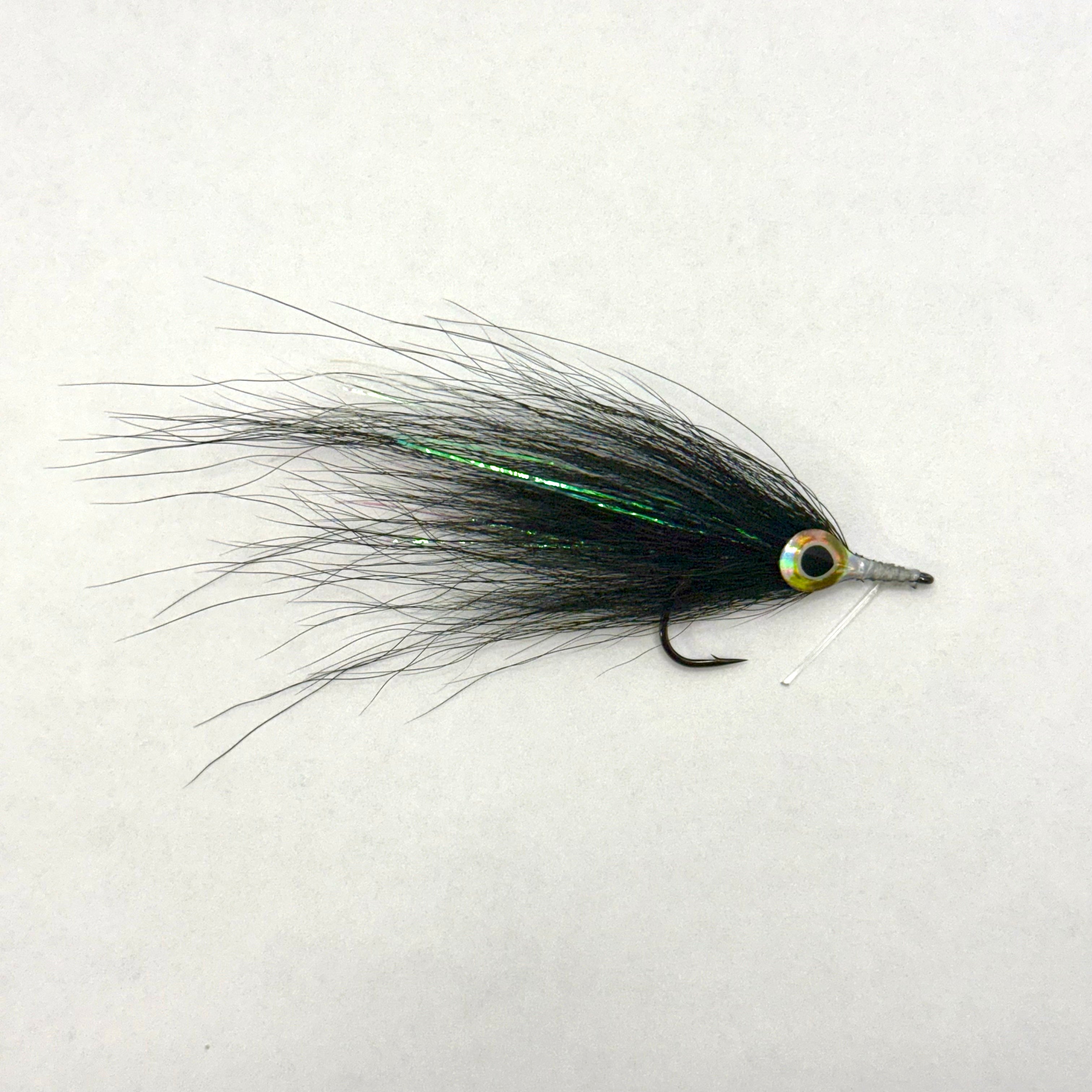 Black Minnow