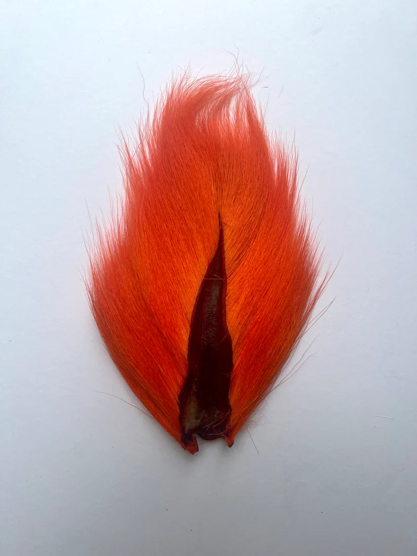 Mw Bucktail