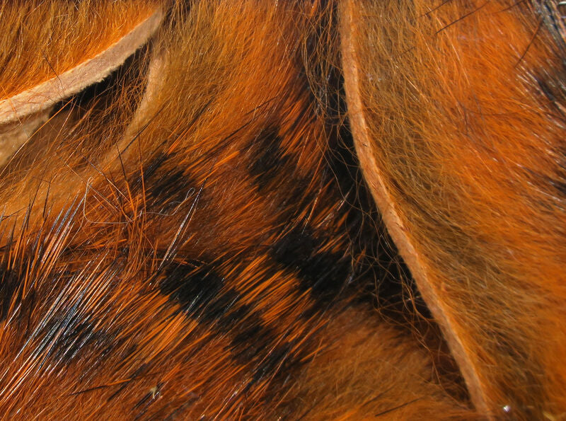Magnum Rabbit Strips