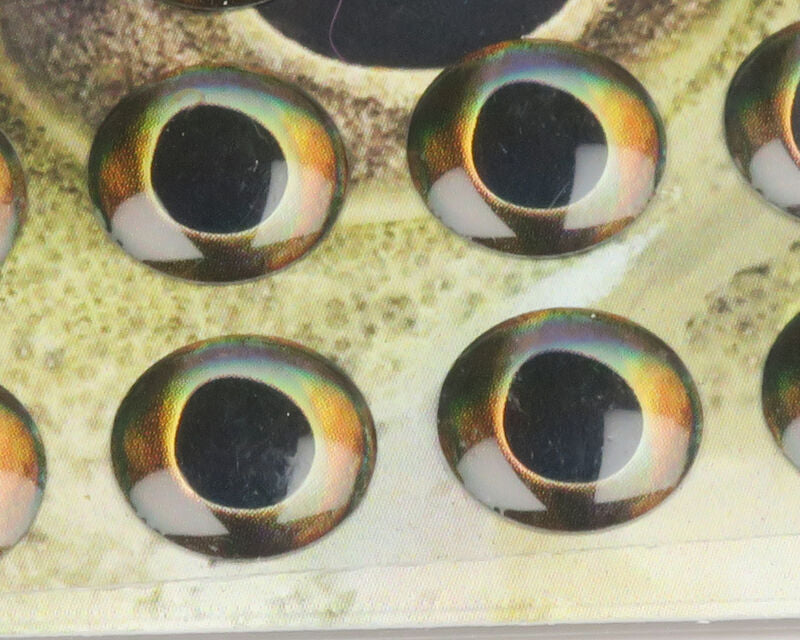 Fish Skull Living Eyes