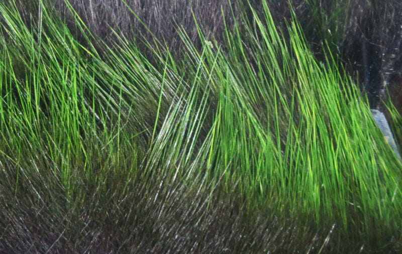 Frostip Rabbit Strips