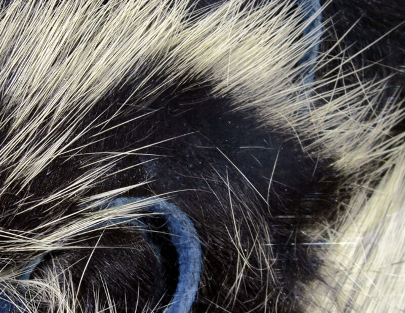 Frostip Rabbit Strips