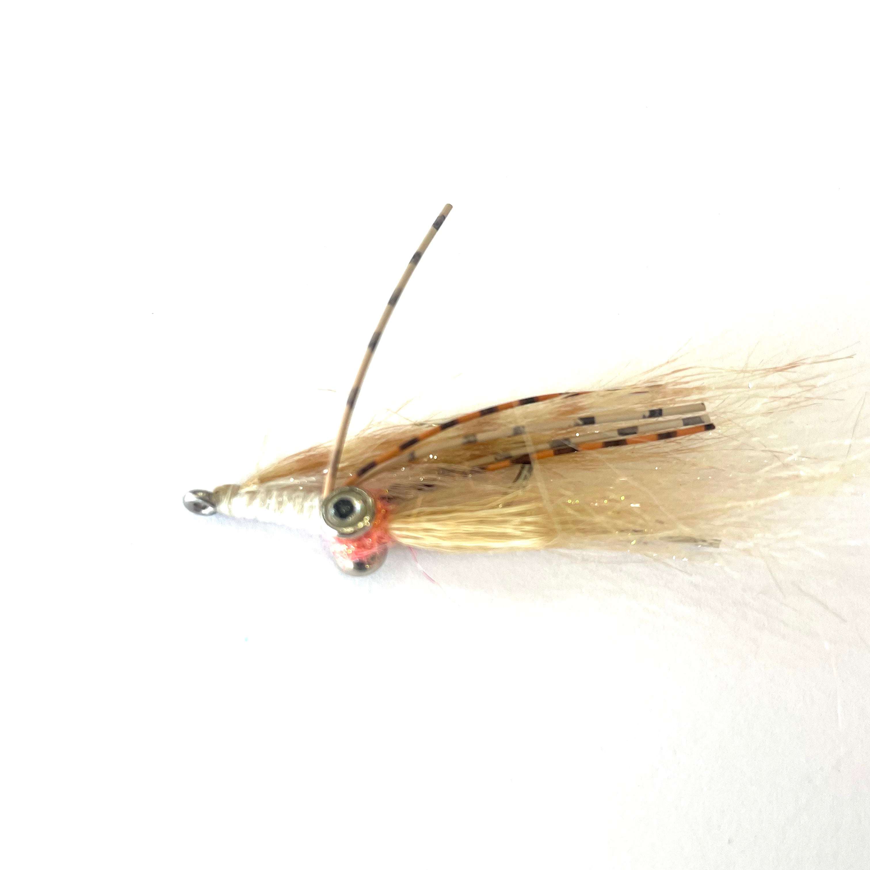 Krusty Spawning Shrimp