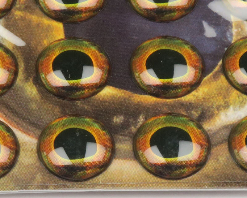 Fish Skull Living Eyes