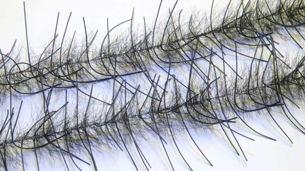 Lively Legs Crustacean Brush 1"