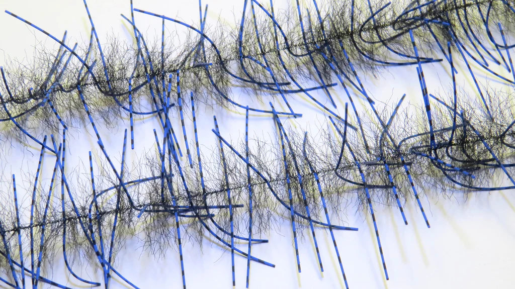 Lively Legs Crustacean Brush 1"