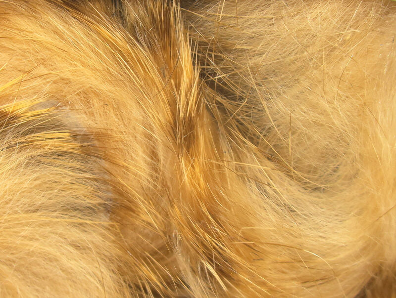 Magnum Rabbit Strips