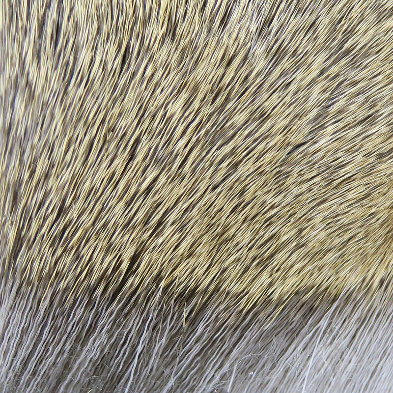 Deer Body Hair