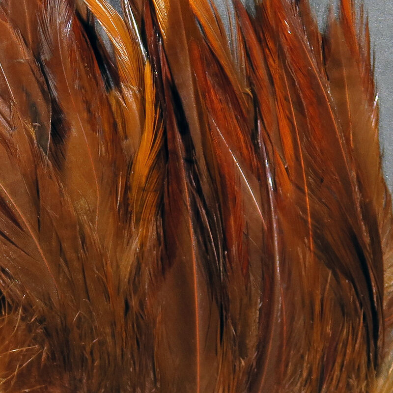Strung Chinese 5-7" Saddle Hackle