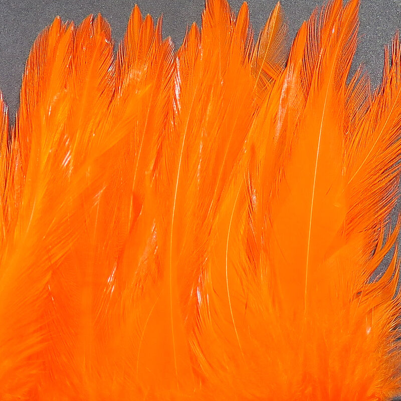 Saltwater Neck Hackle