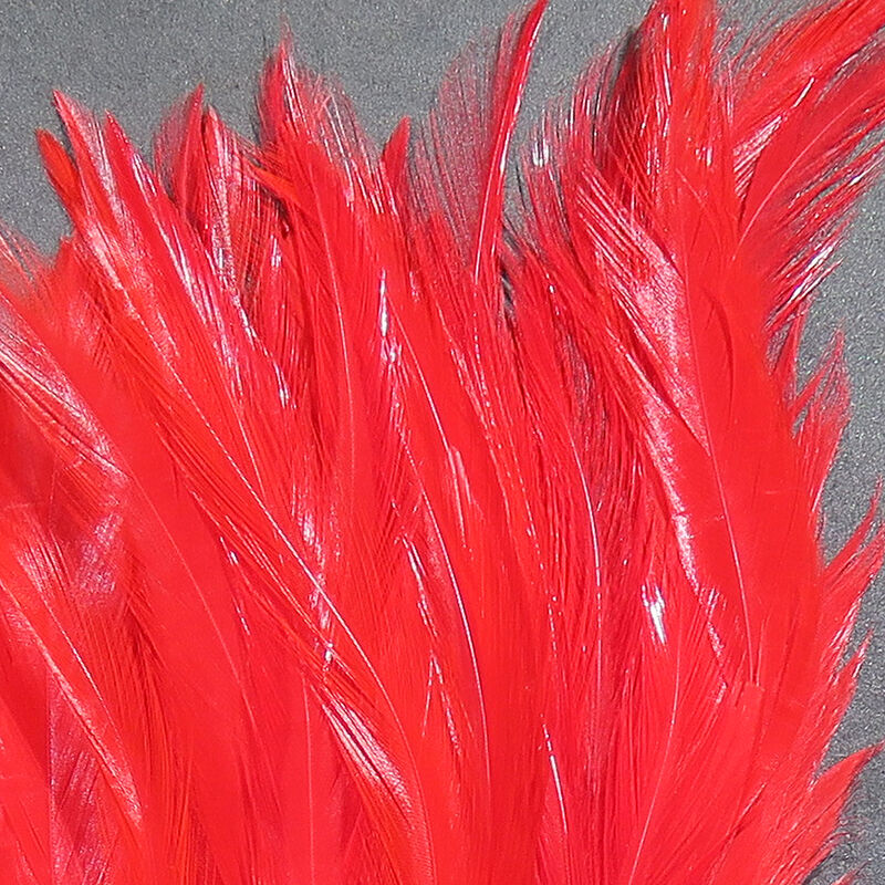 Strung Chinese 5-7" Saddle Hackle