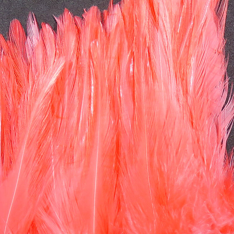 Strung Chinese 5-7" Saddle Hackle
