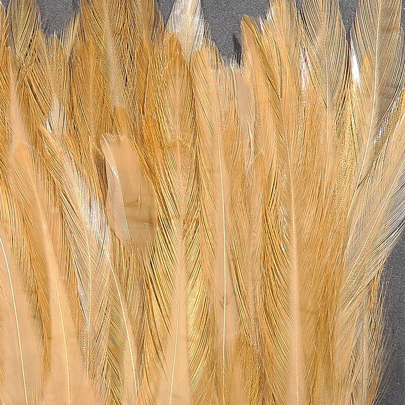 Strung Chinese 5-7" Saddle Hackle