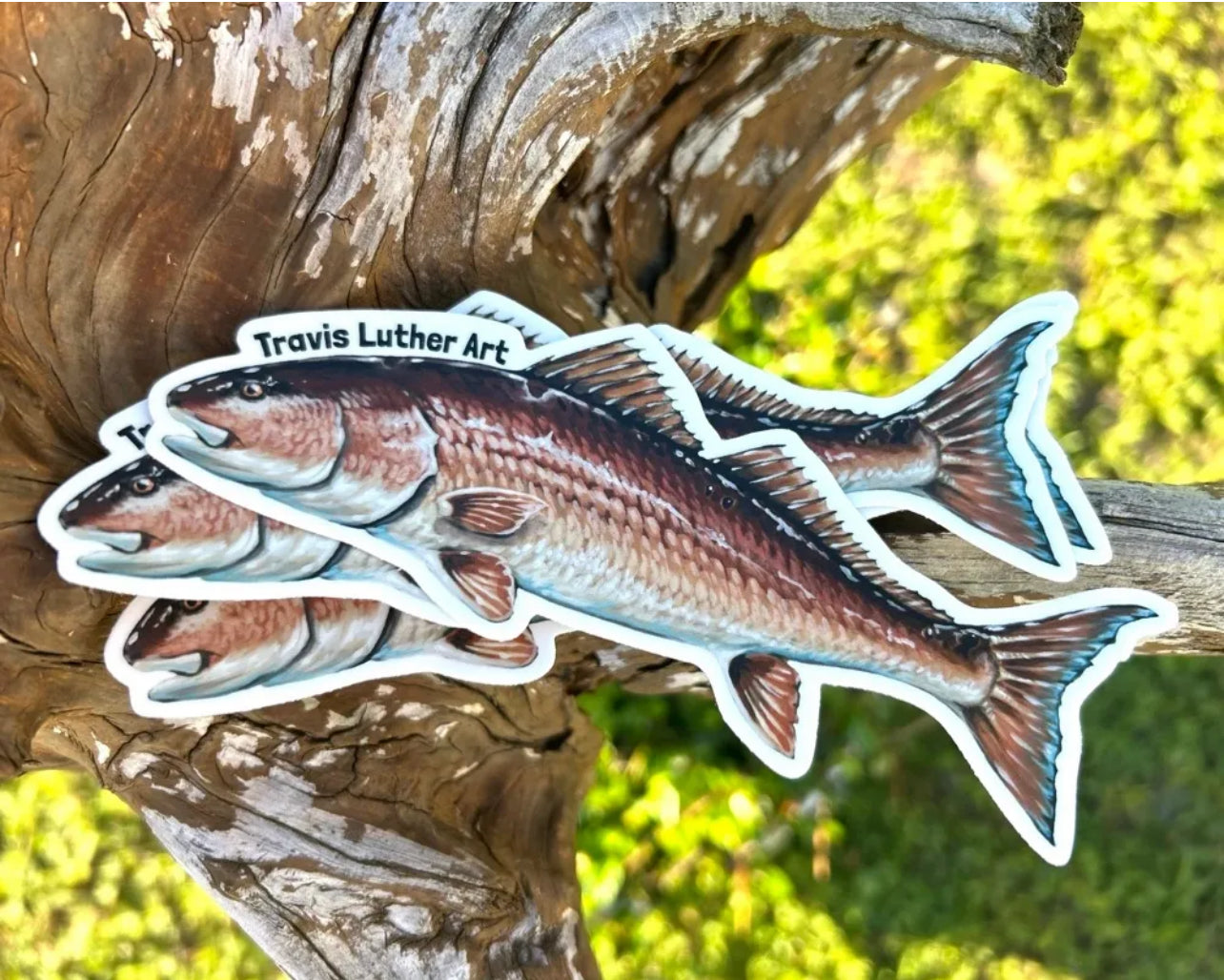 Travis Luther Art redfish sticker