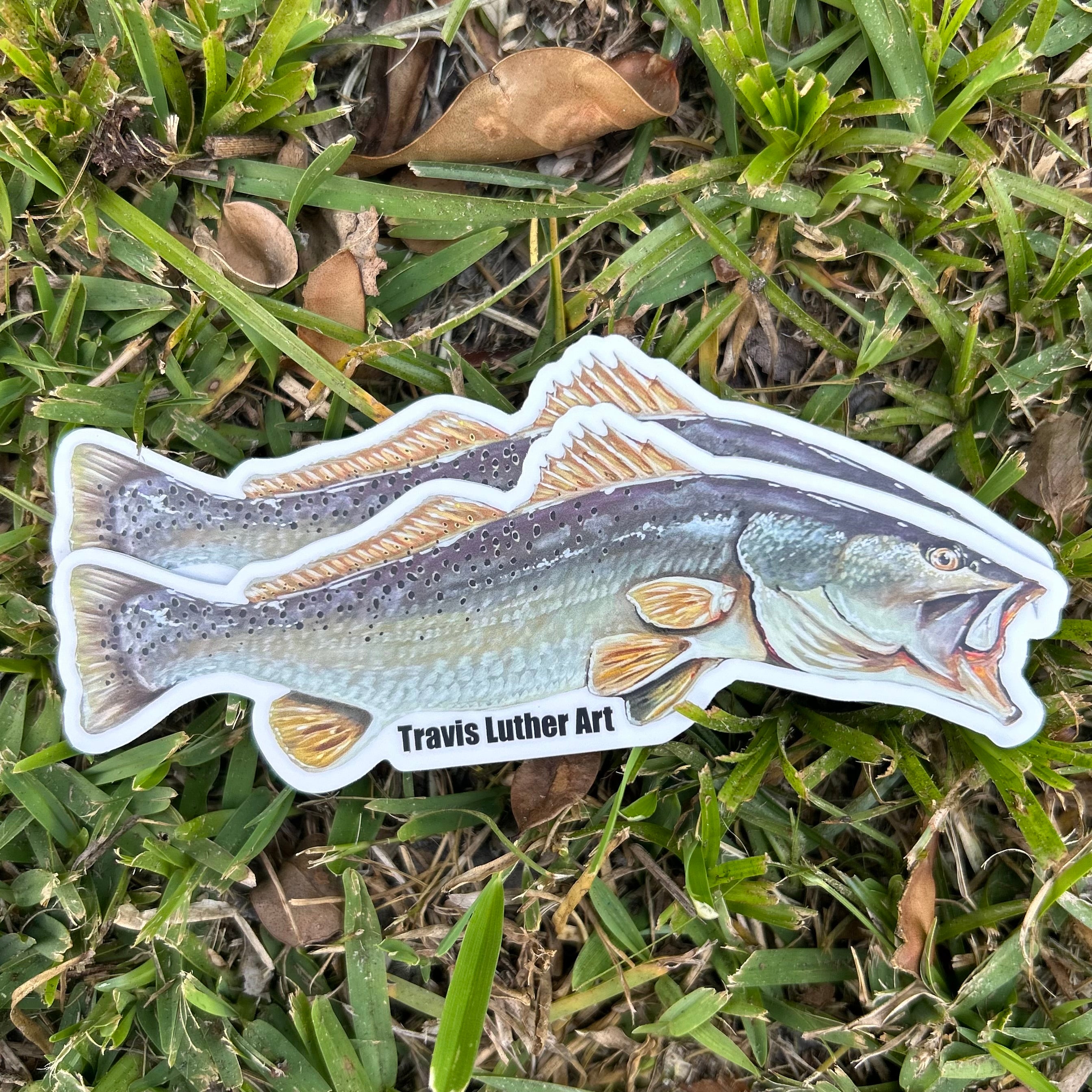 Travis Luther art speckled trout sticker