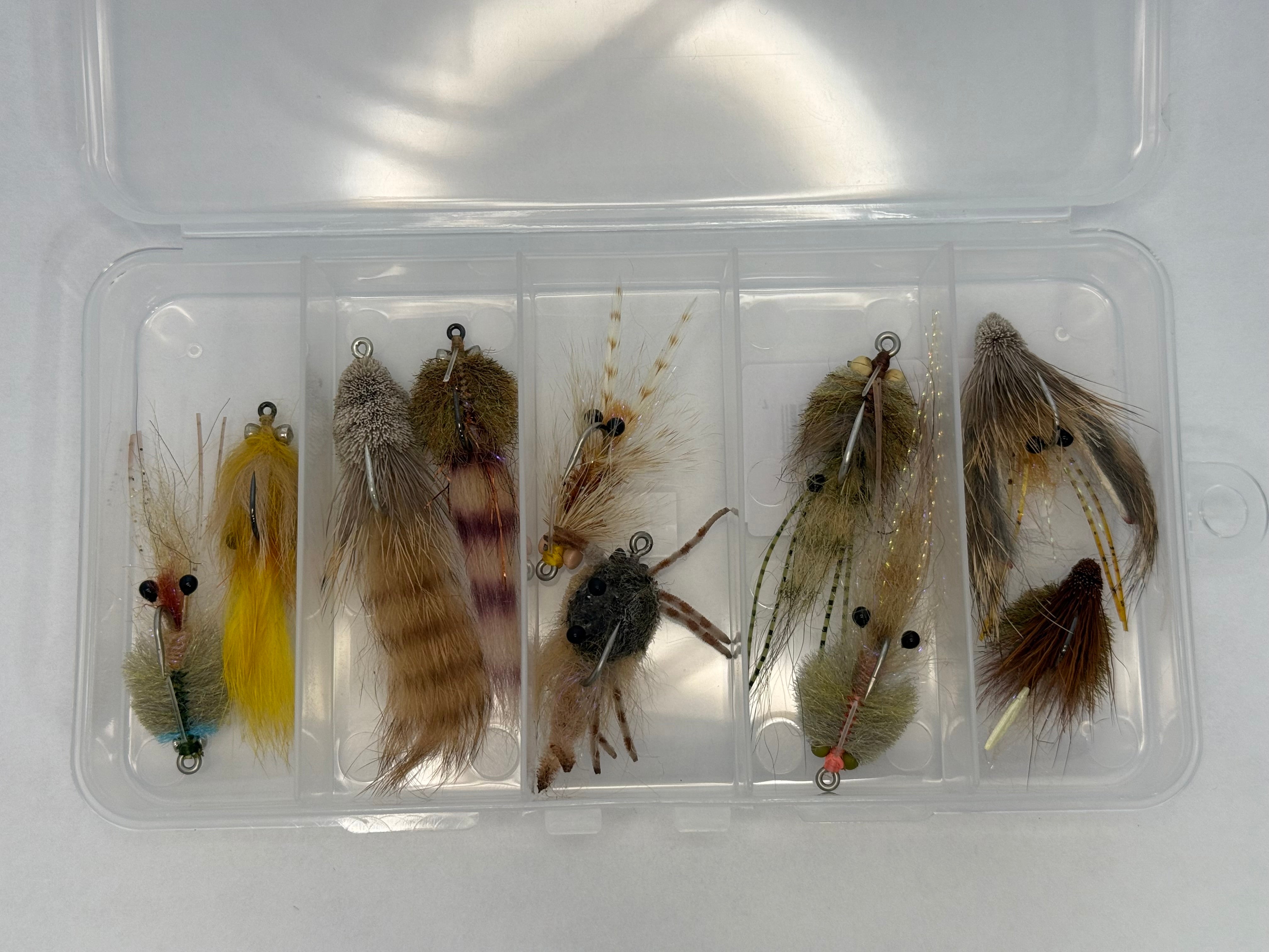 Sample Fly box