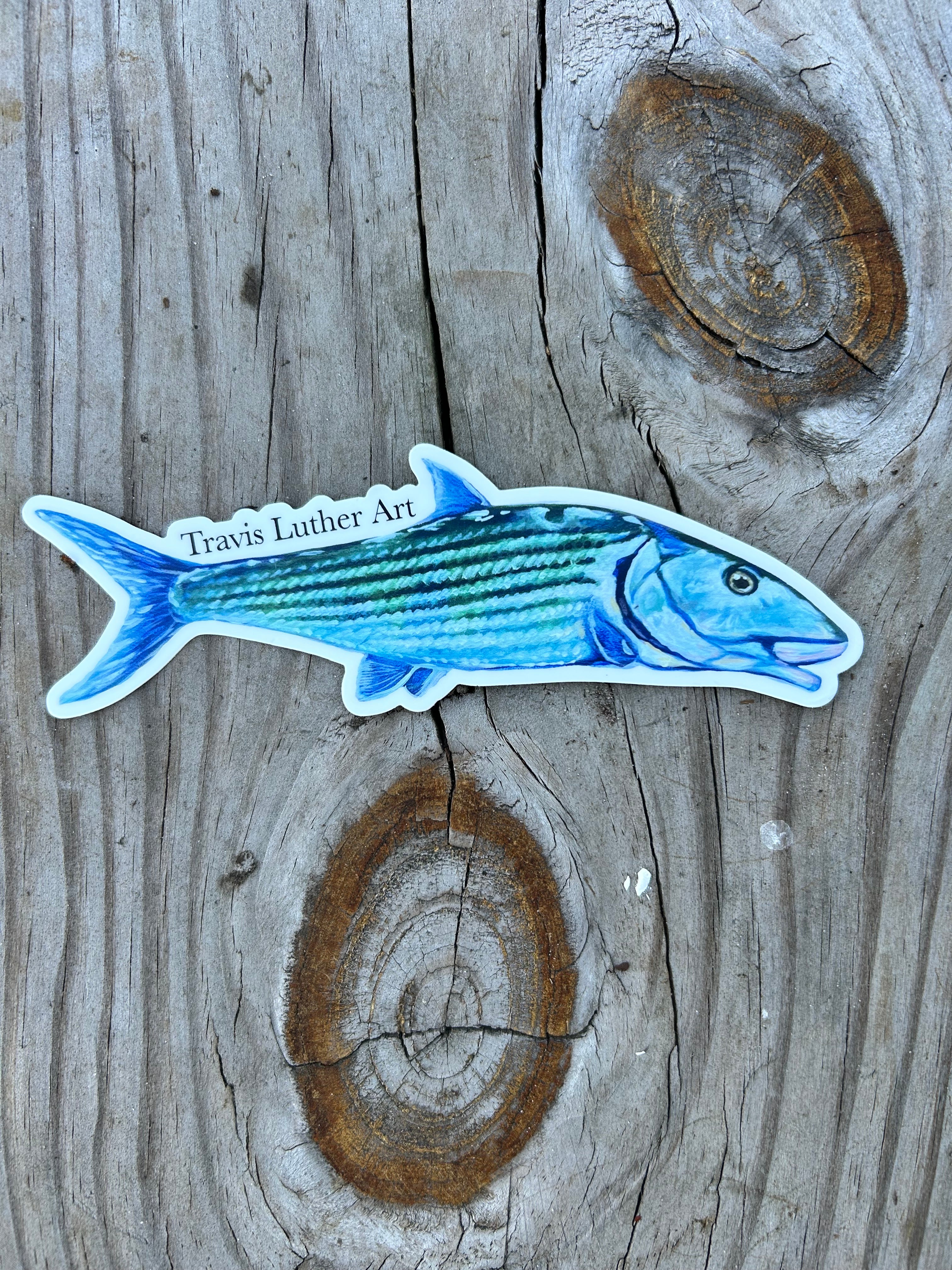 Travis Luther Art Bonefish Sticker