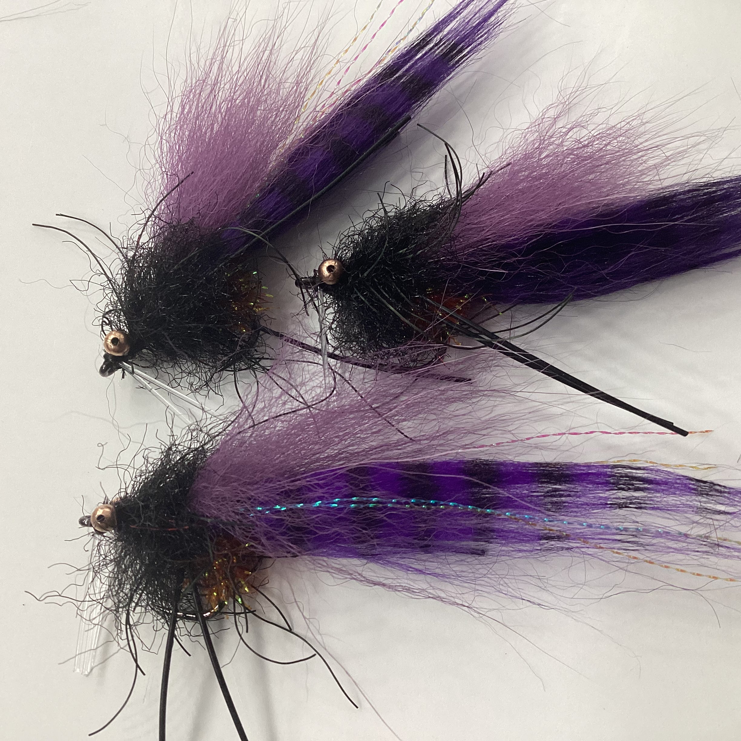 Ted's Tailchaser - black/purple