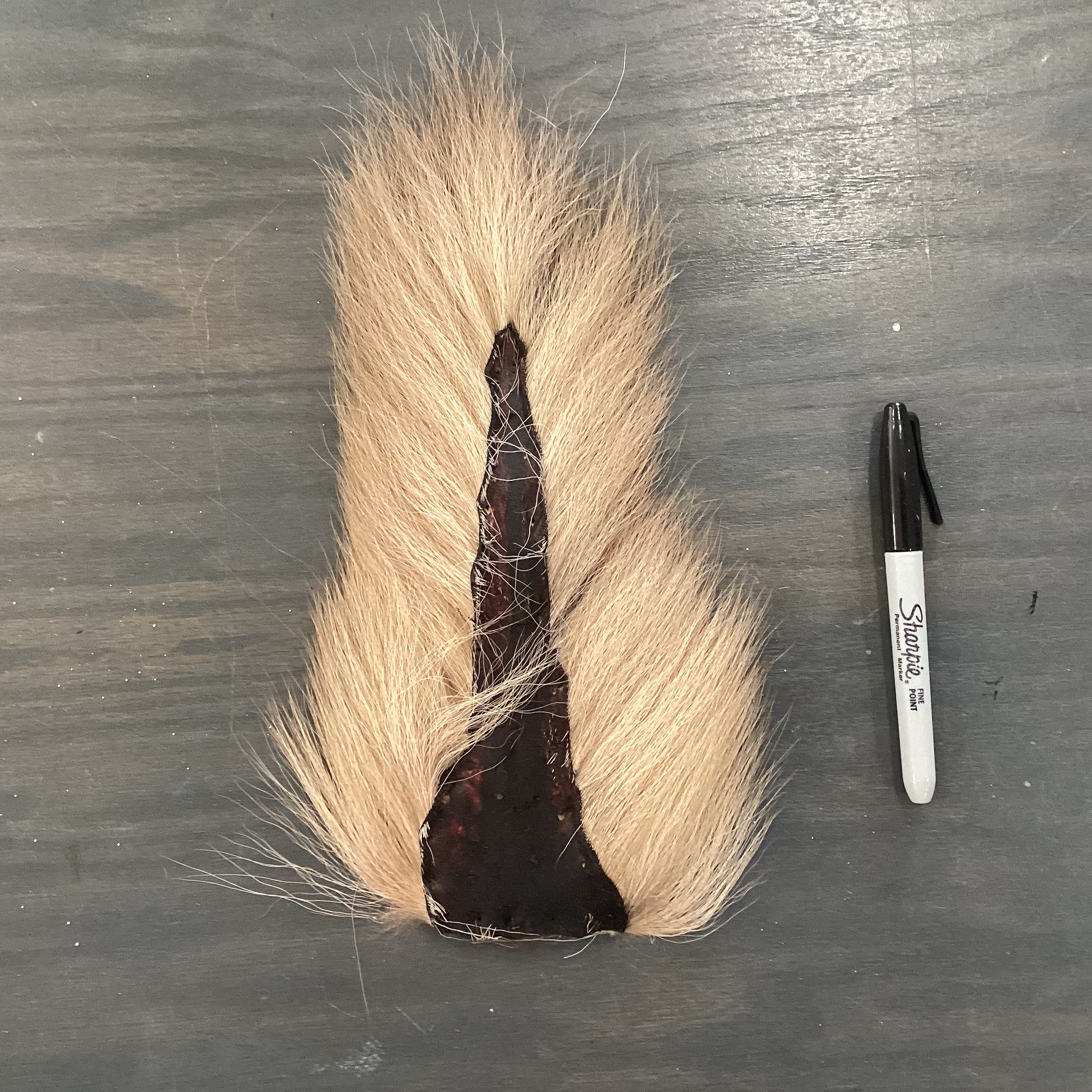 Whitetail Bucktail